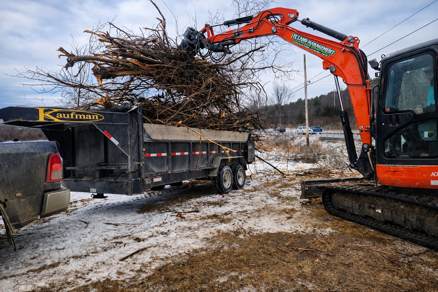 An orange excavator loading tree branches into a black dump trailer on a snowy ground.