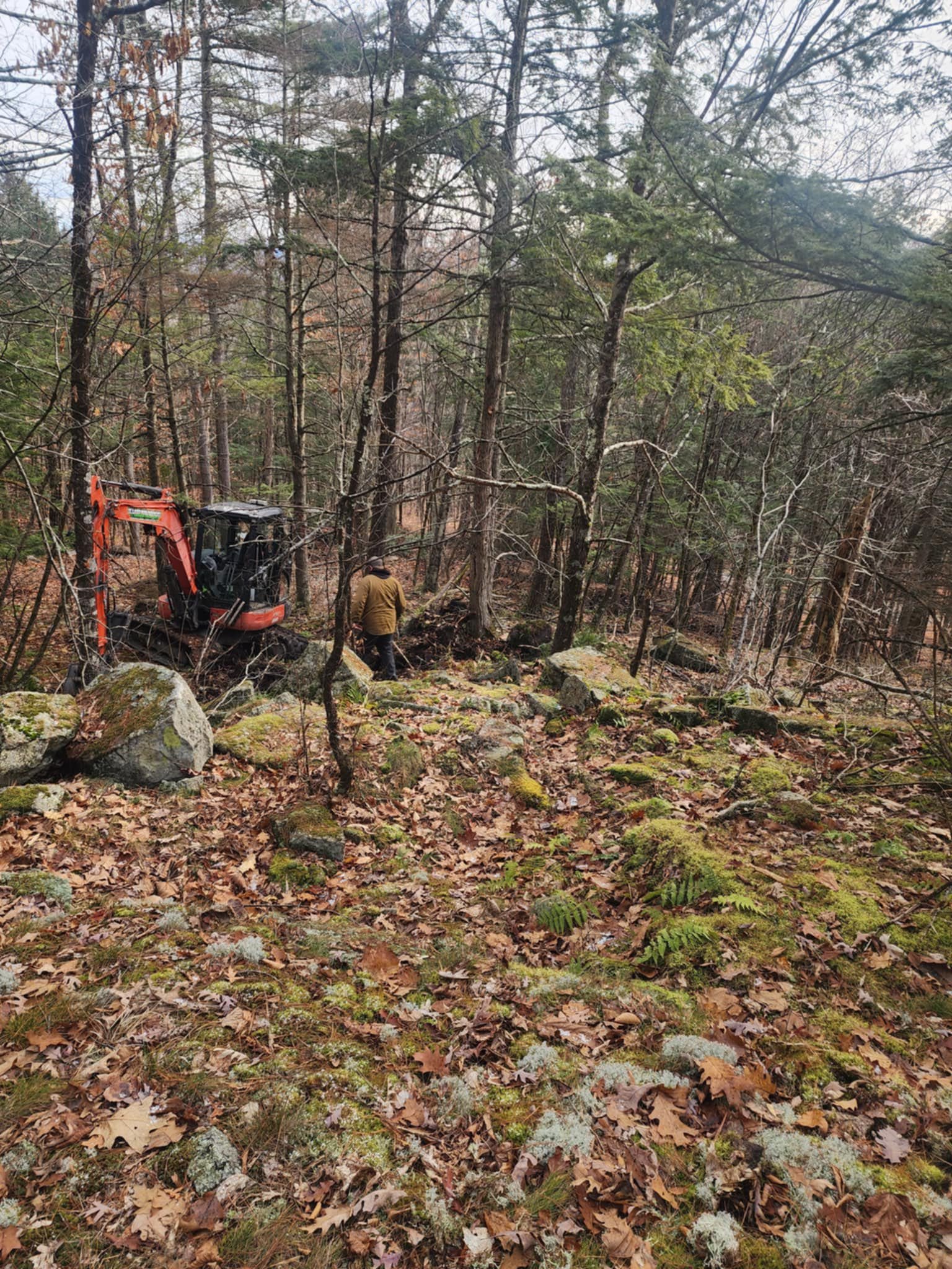 A forest scene with tall trees, fallen leaves on the ground, moss-covered rocks, and two people near an orange mini excavator.