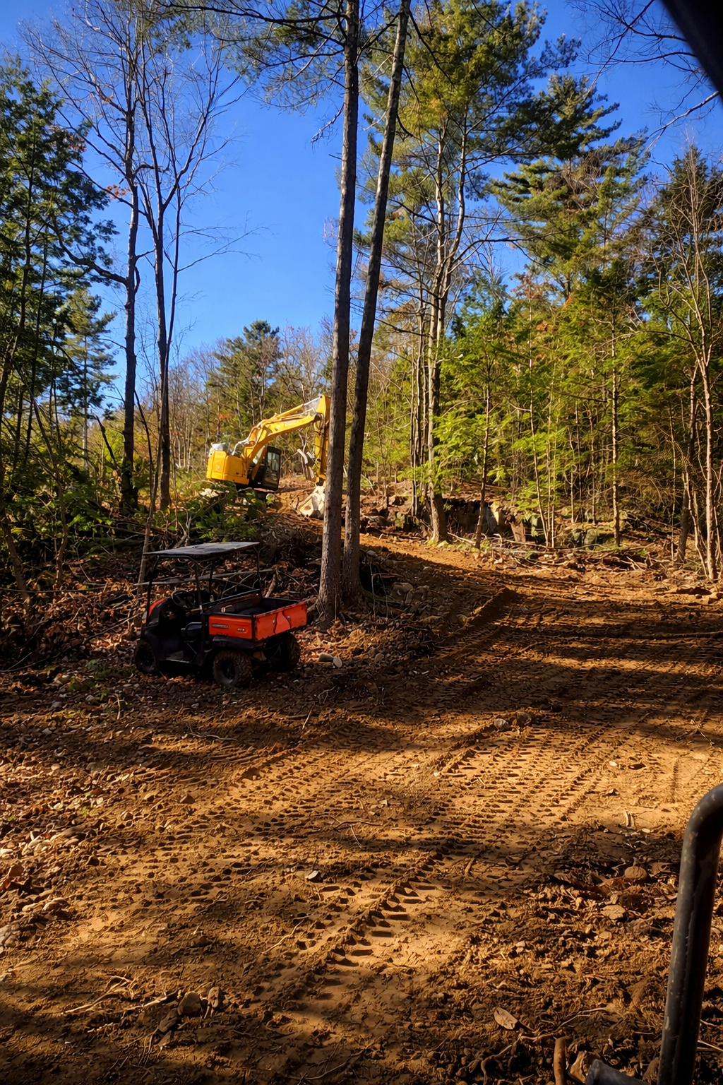 A forest clearing with tracks in the dirt, a yellow excavator working on terrain, and a small red and black utility vehicle parked nearby. Tall trees surround the area under a clear blue sky.