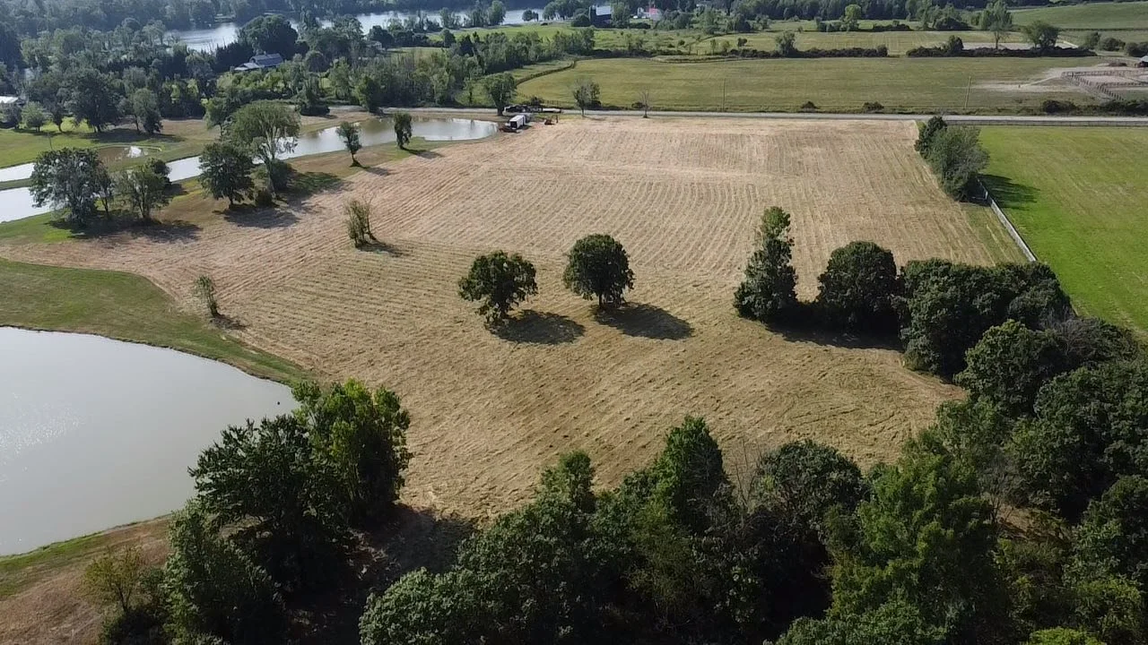 Aerial view of a rural landscape with small lakes, trees, and a large open field with mowed grass and sparse trees, bordered by patches of green grass and a road in the background.