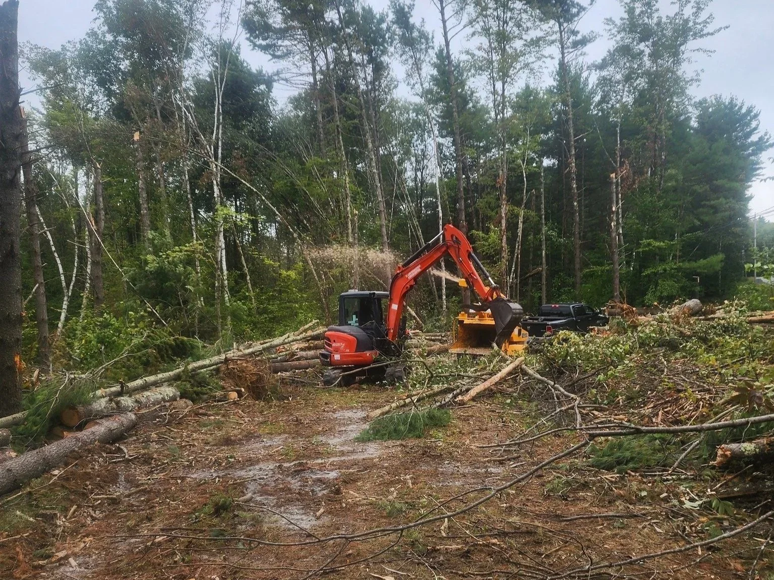 Construction machinery working on clearing fallen trees from a forest area.