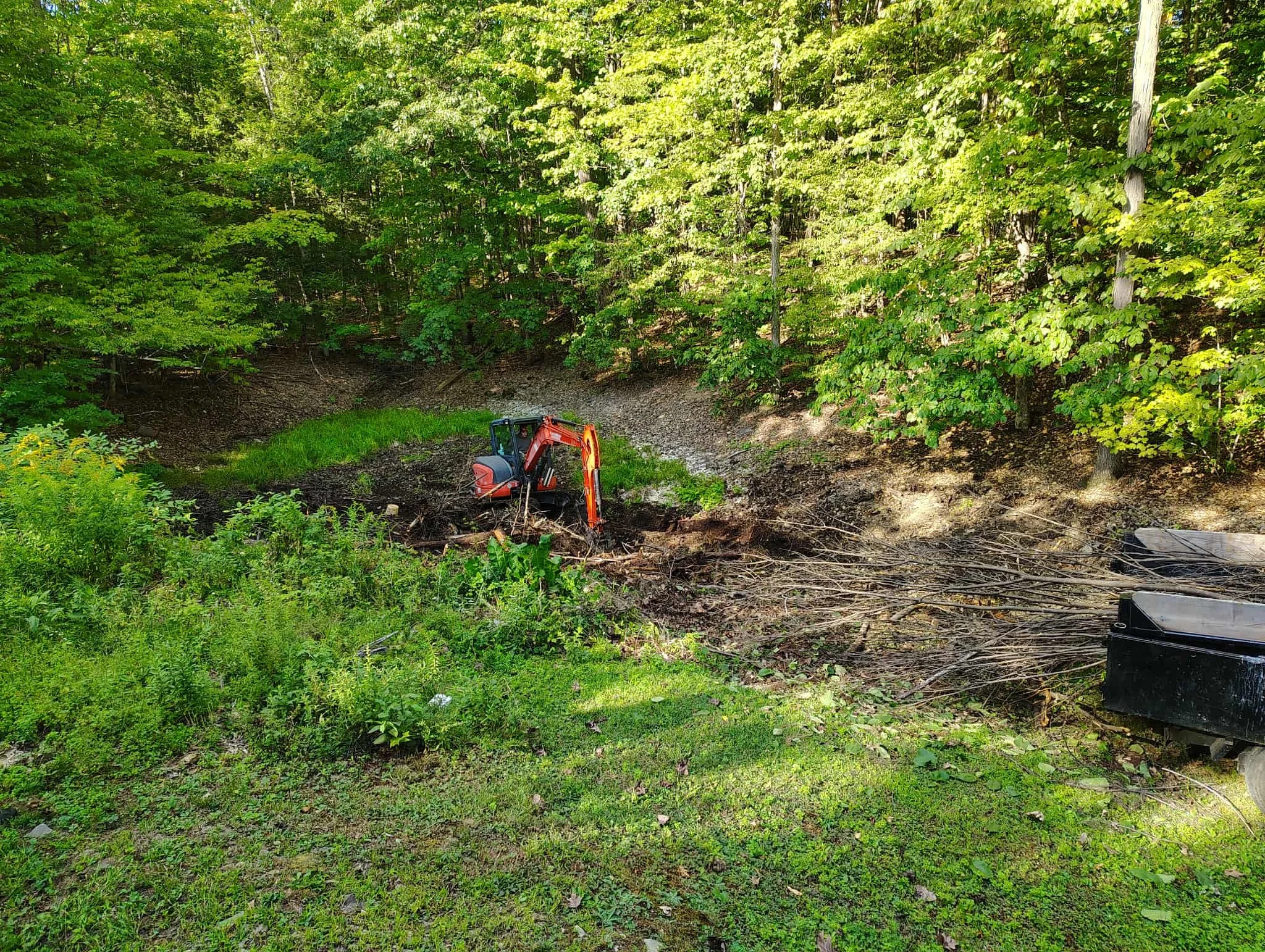 Construction equipment in a wooded area with chopped trees and damaged ground.