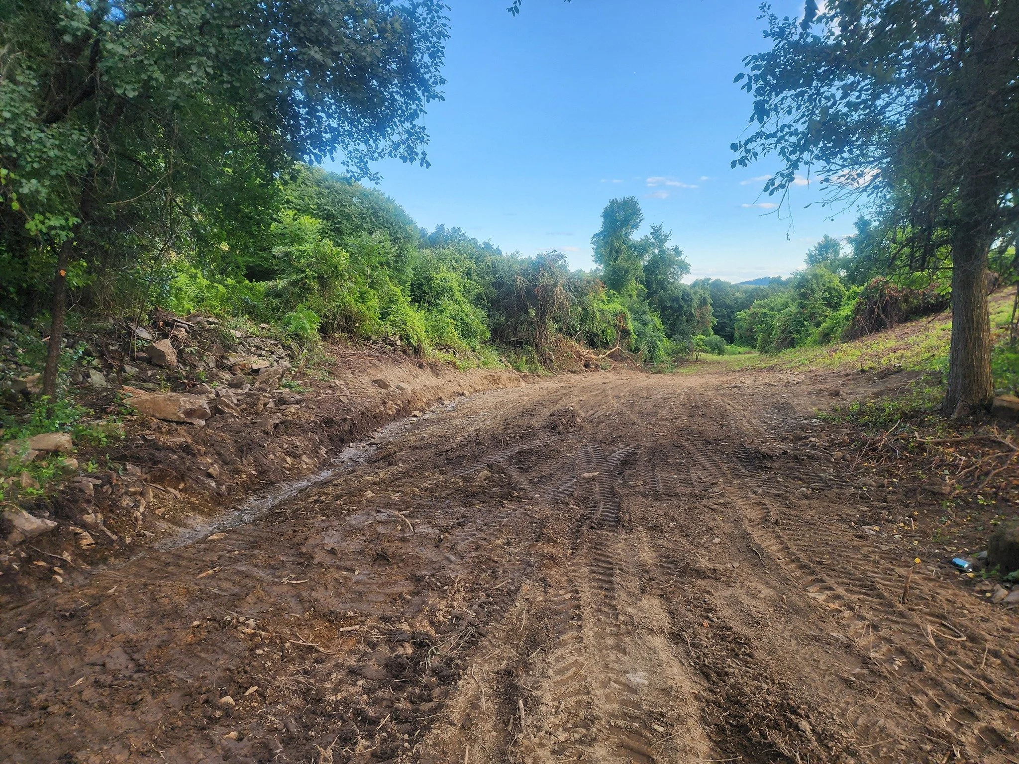 A dirt path through a wooded area with green trees on both sides under a blue sky.