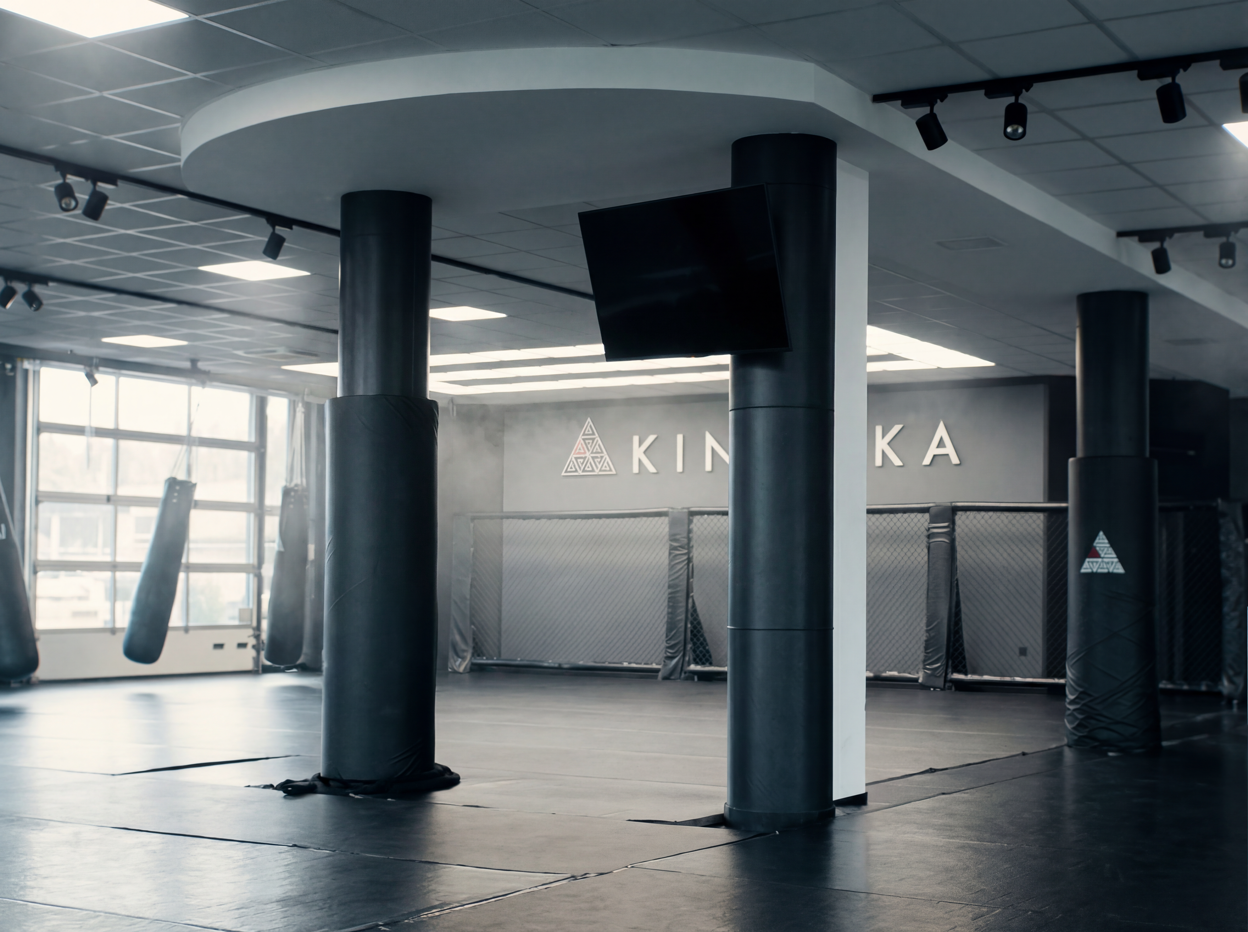 Kinetika2.png
