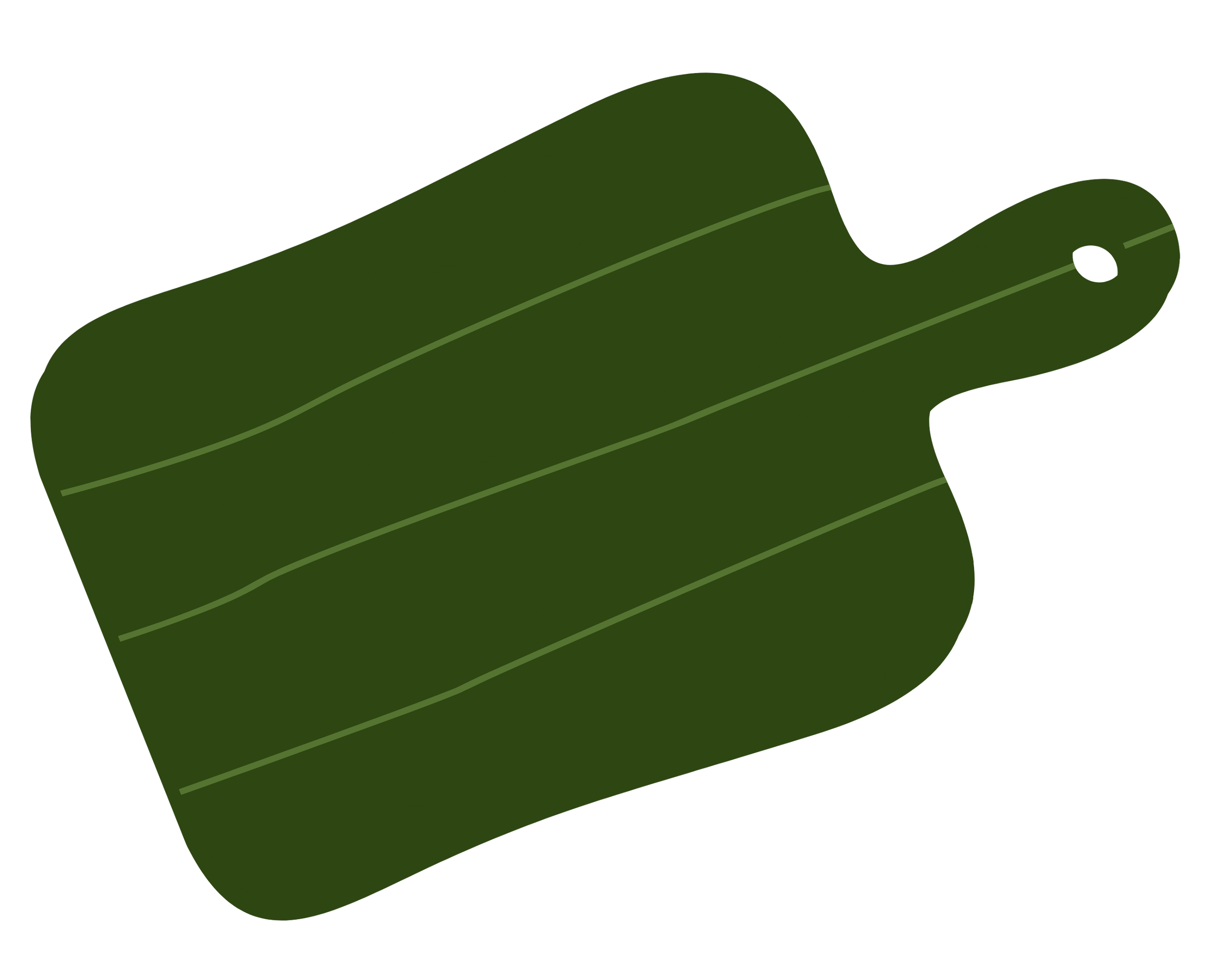 A digital illustration of a green camping sleeping bag with a rolled-up pillow at the top, set against a black background.