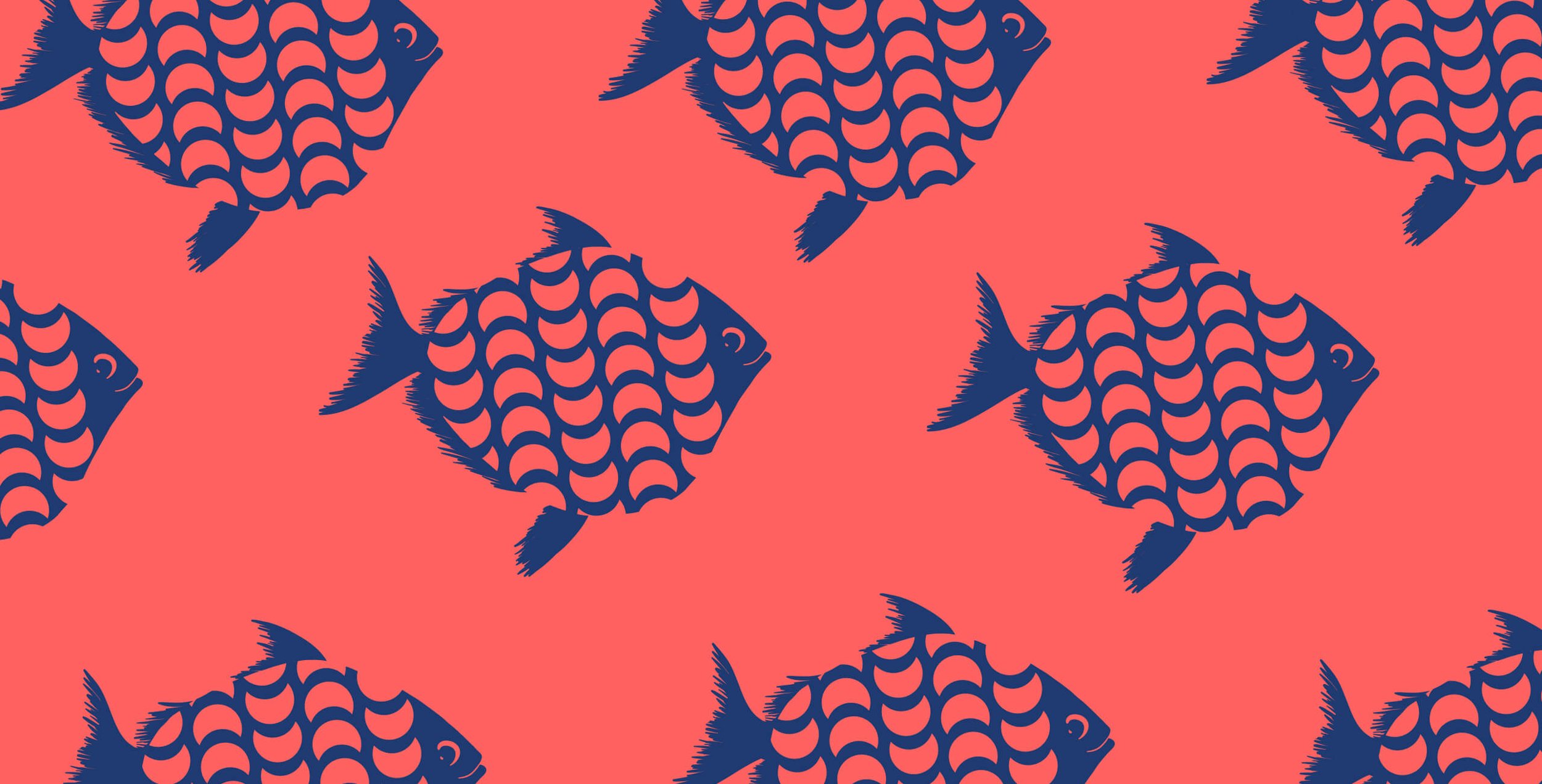 whimsical moonfish illustration for outcast sustainable canned seafood branding and packaging