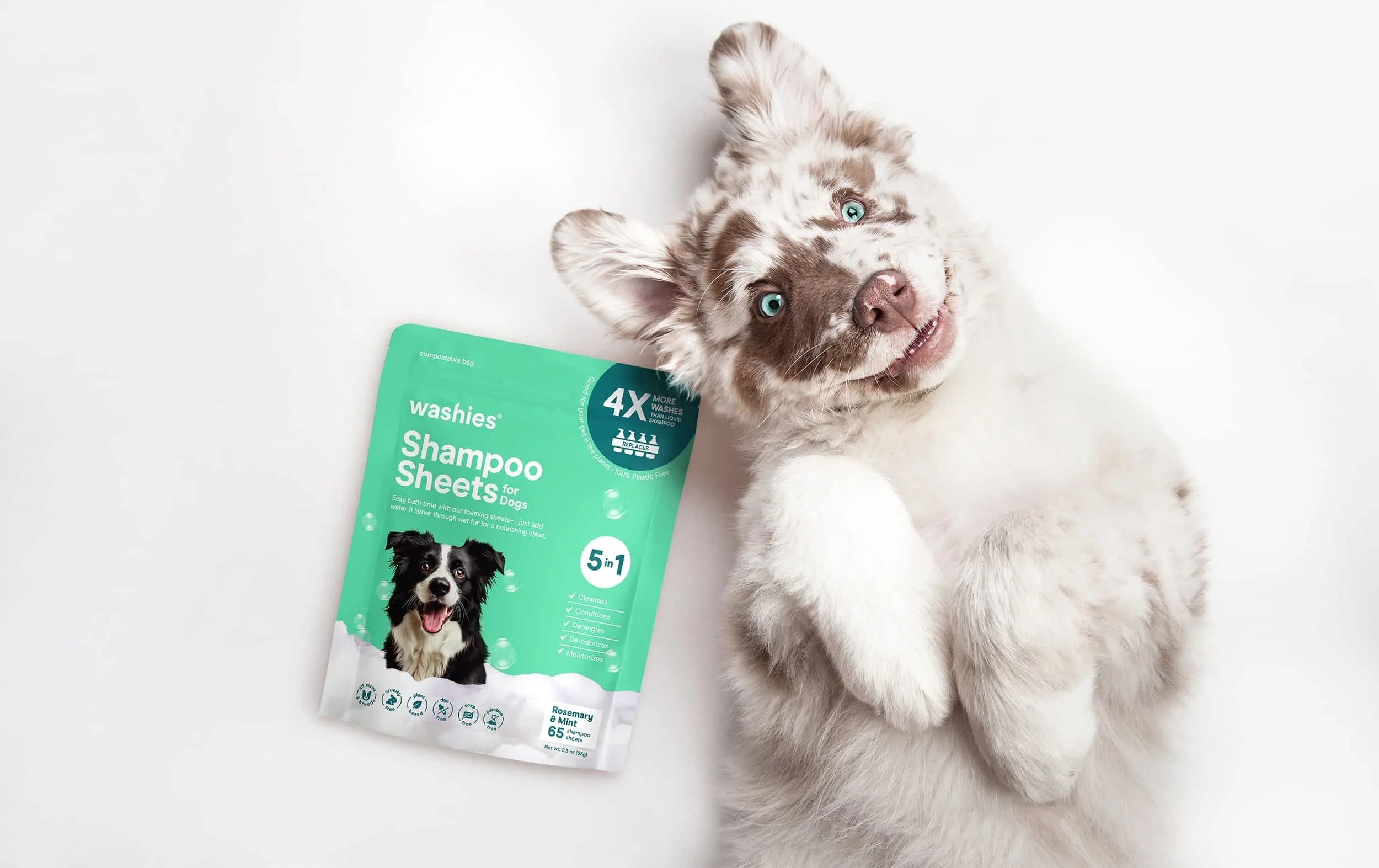 washies eco-friendly shampoo sheets for dogs branding + packaging