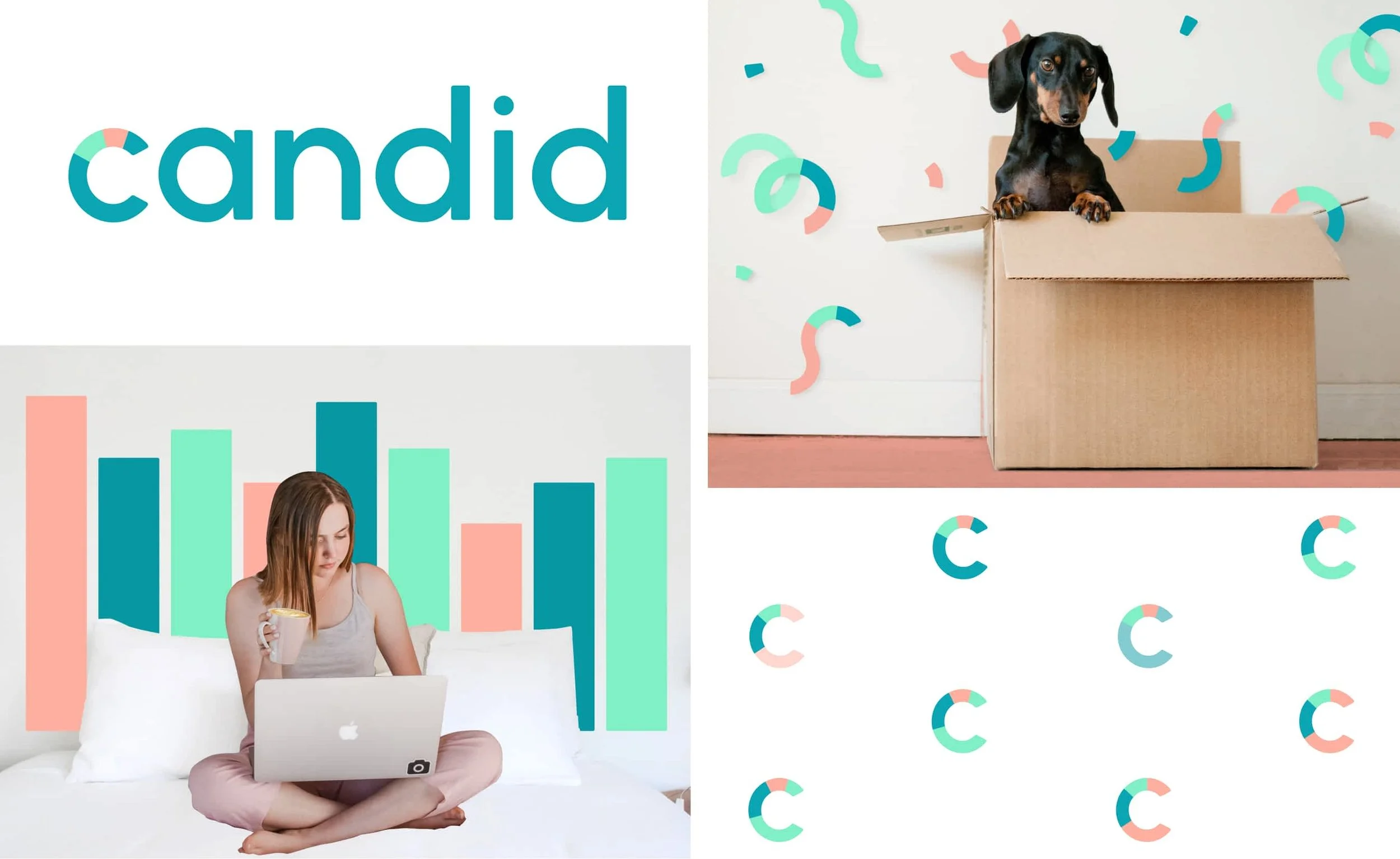 logo, icon, and collage style illustration mixed with photos style sheet for candid brand identity