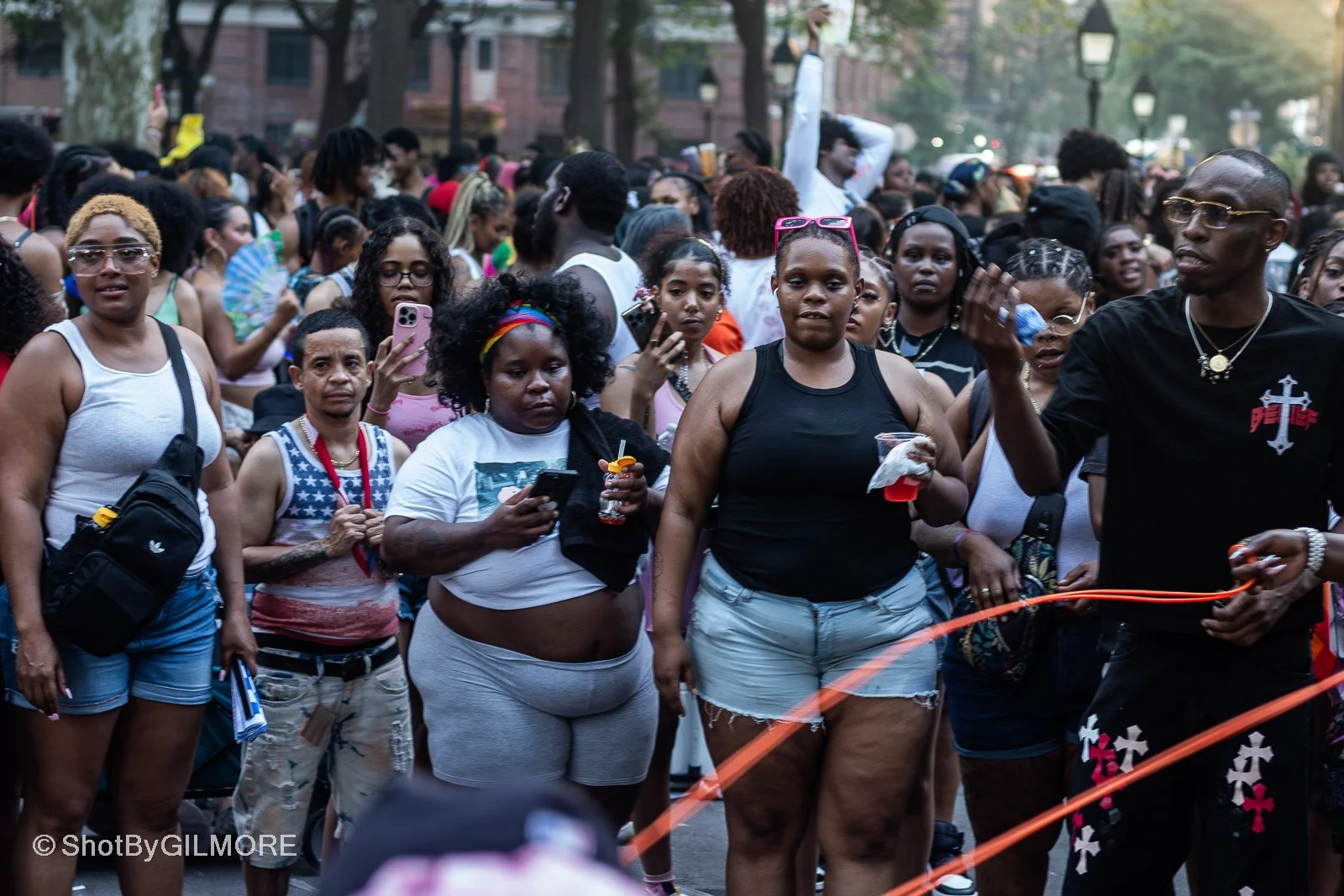 Crowd of diverse people attending an outdoor event or festival in a park.