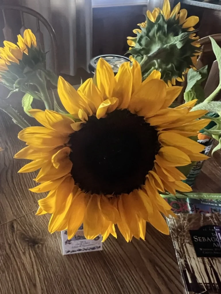 A large sunflower with bright yellow petals and a dark center on a wooden table, surrounded by other sunflowers, books, and magazines.