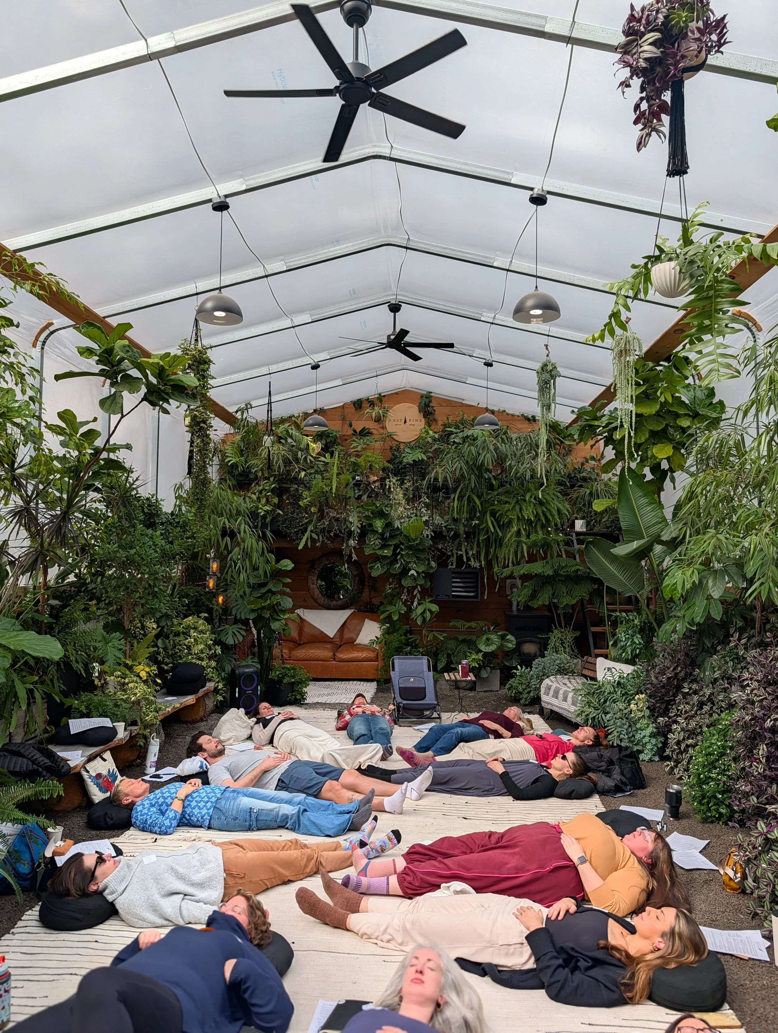 People lying on mats in a greenhouse with lush green plants, hanging plants, and a leather sofa at the front, participating in a group activity or meditation.