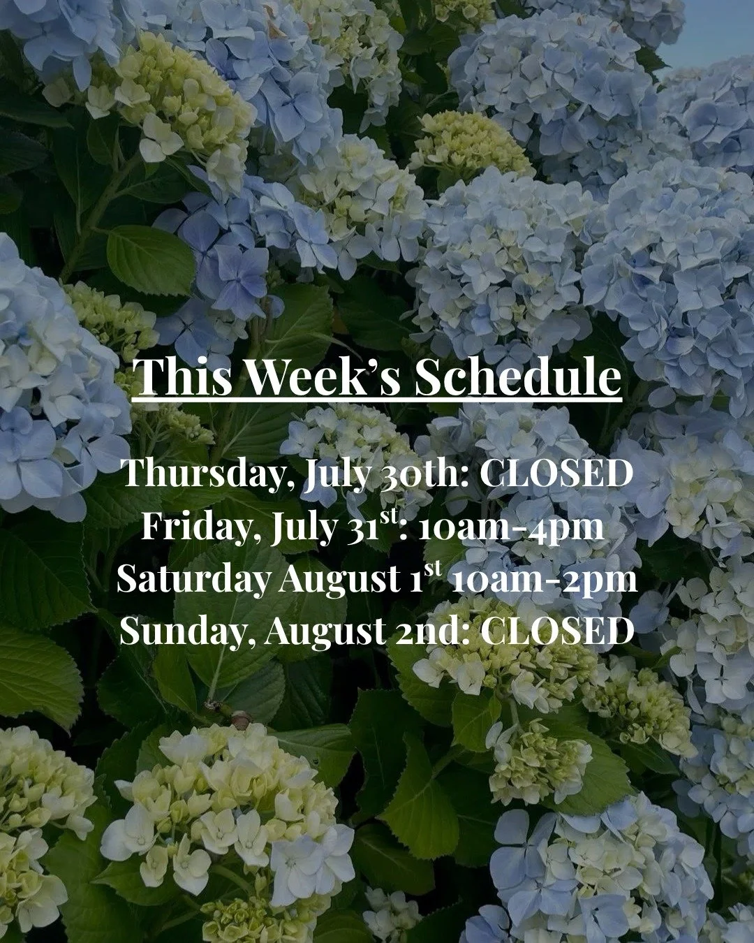 A little update on our operating hours this week! We look forward to seeing you on Friday and Saturday. 💙