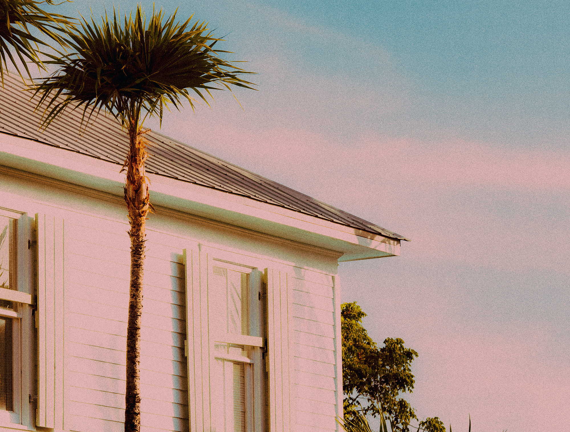 A tall palm tree stands next to a white house with a gray corrugated metal roof, under a clear sky with slight pink hues near the horizon.