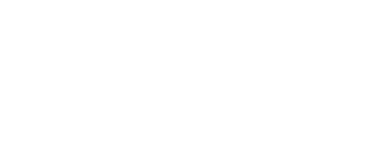 IncognitoSD