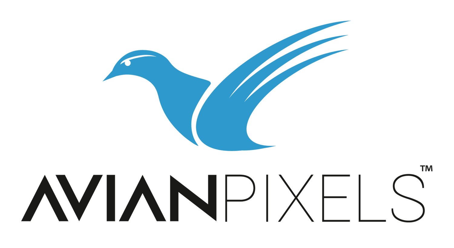 Graphic Designer | Logo Design, Website Design &amp; Branding | Avian Pixels