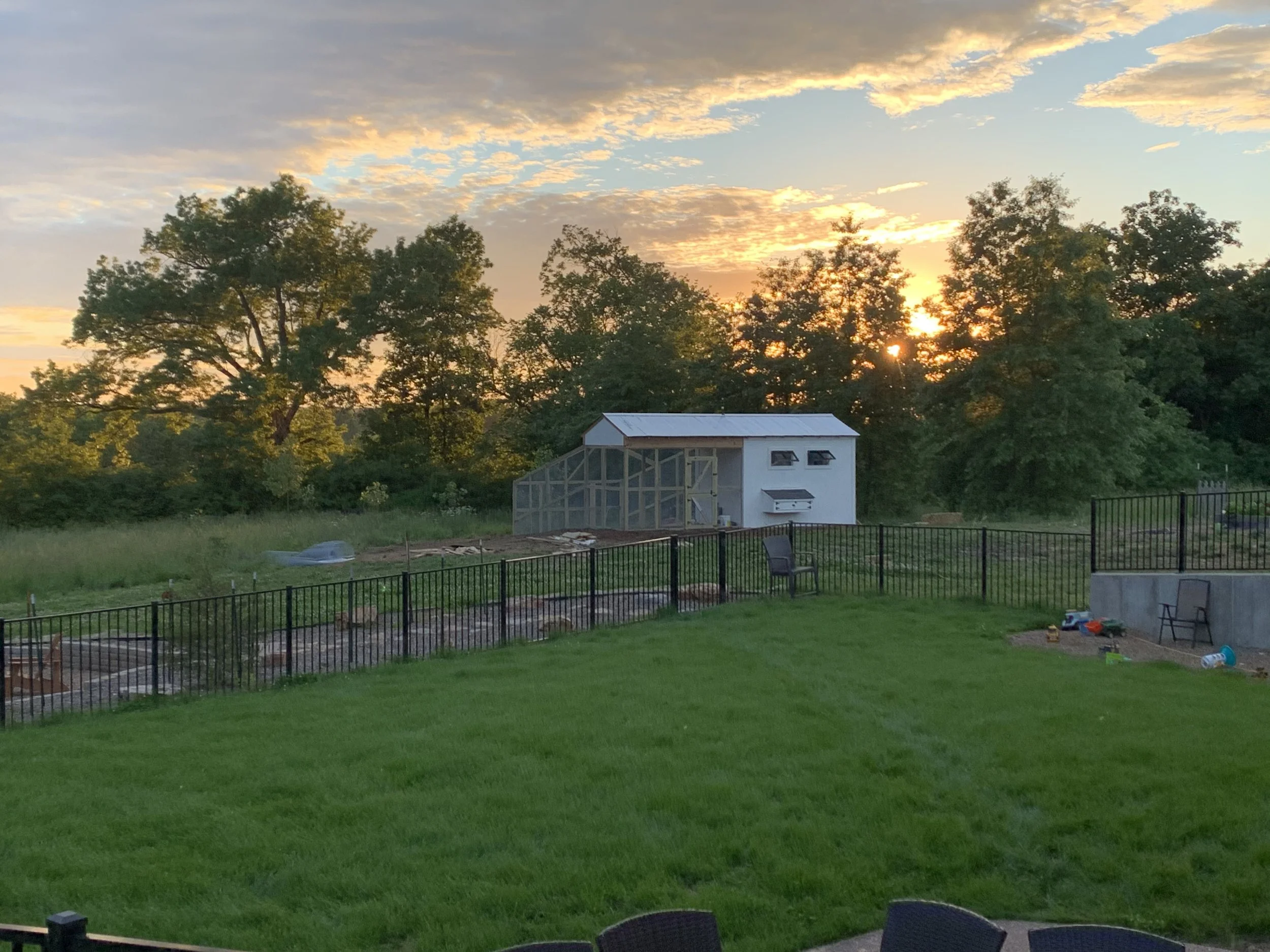 Custom Chicken Coop
