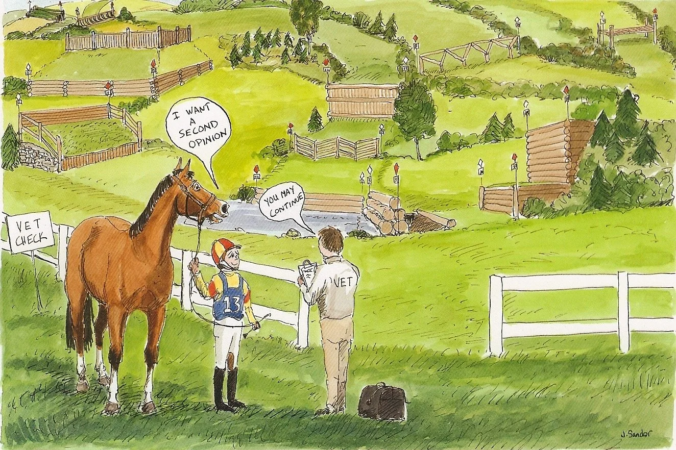 A horse at a veterinary check area speaks to a jockey and a vet, with the horse saying, 'I want a second opinion,' and the vet replying, 'You may continue.' In the background, the countryside features many jumping fences, logs, and graded terrain.