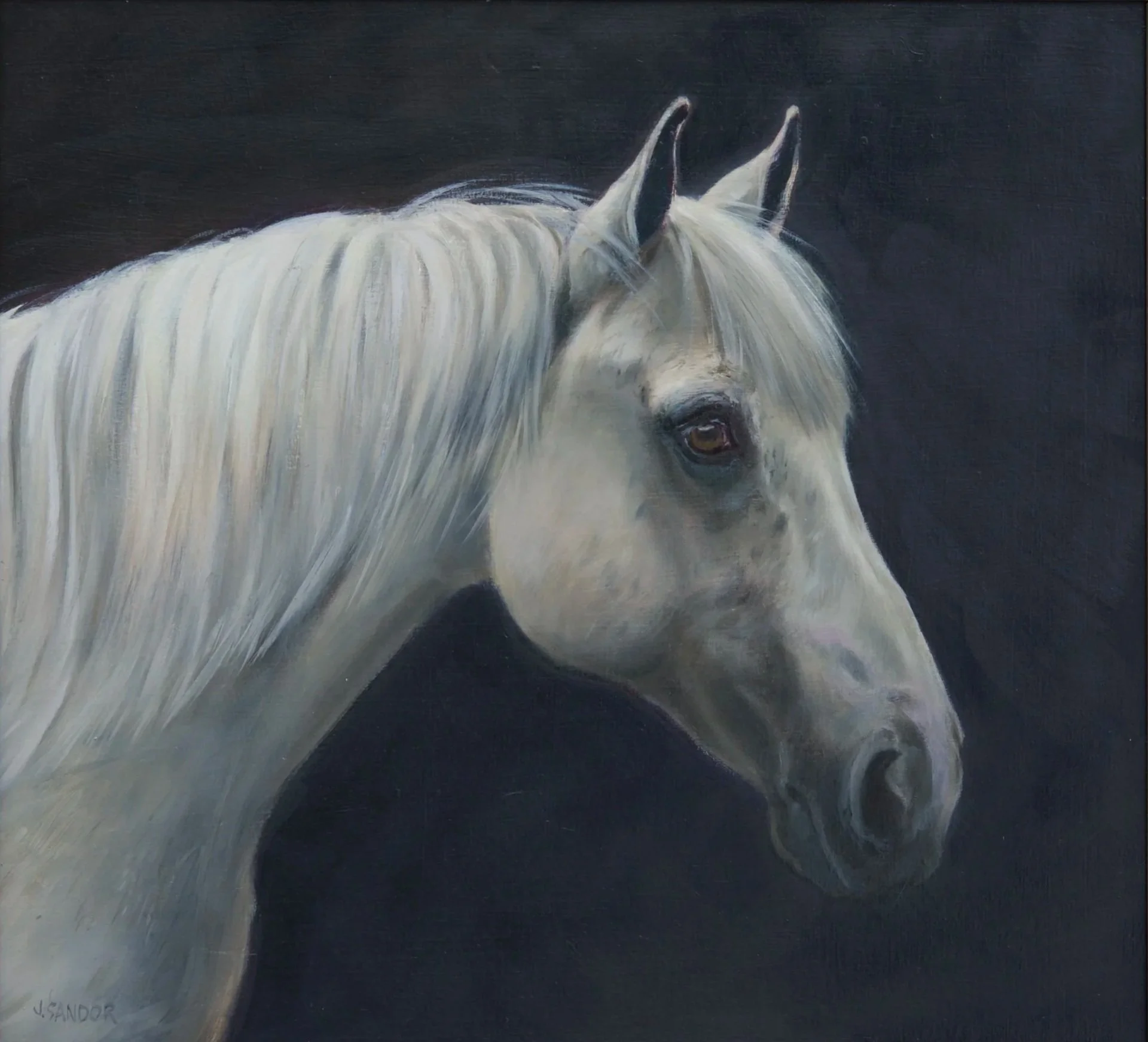 Shannon · oil on panel · 10 × 11 in. $1,800