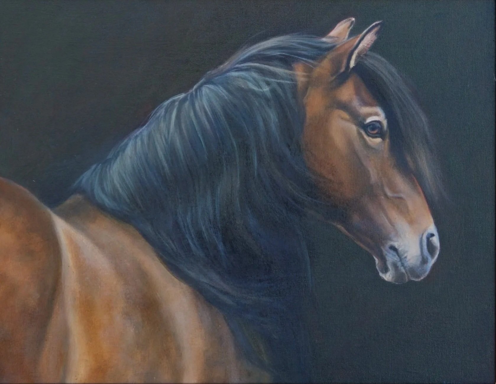 Harley · oil on linen panel · 11 × 14 in. $2,000