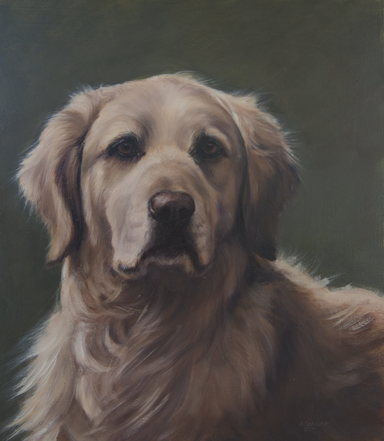 Golden · oil on panel · 12 × 14 in. Private Collection