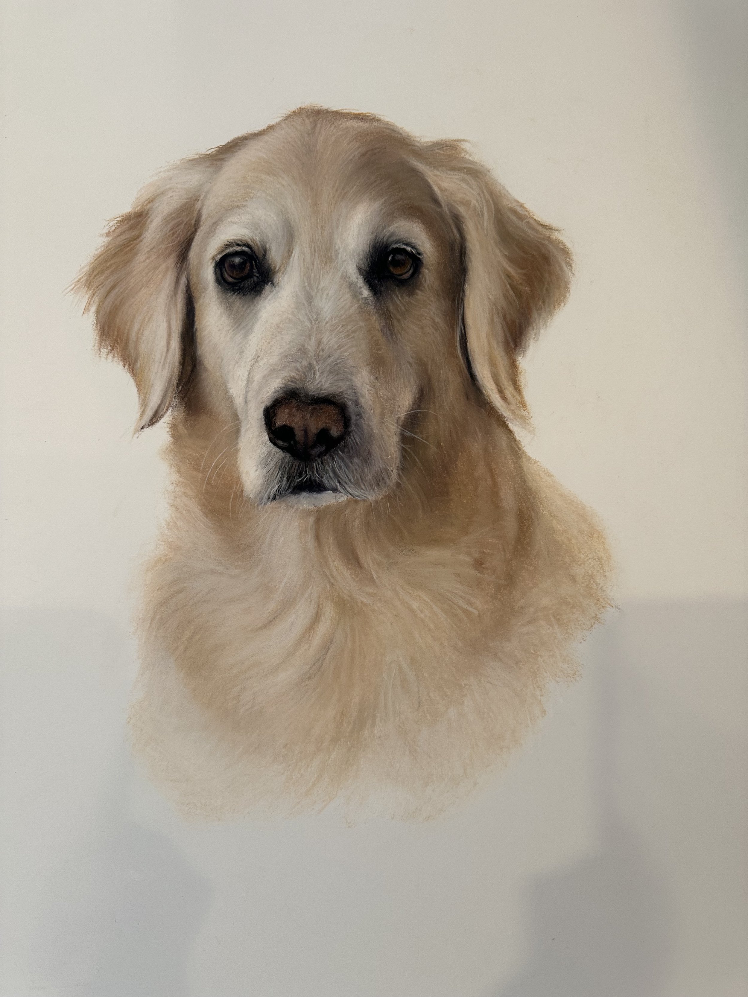 Skylar· conte crayon drawing · 20 × 20 in. Private Collection