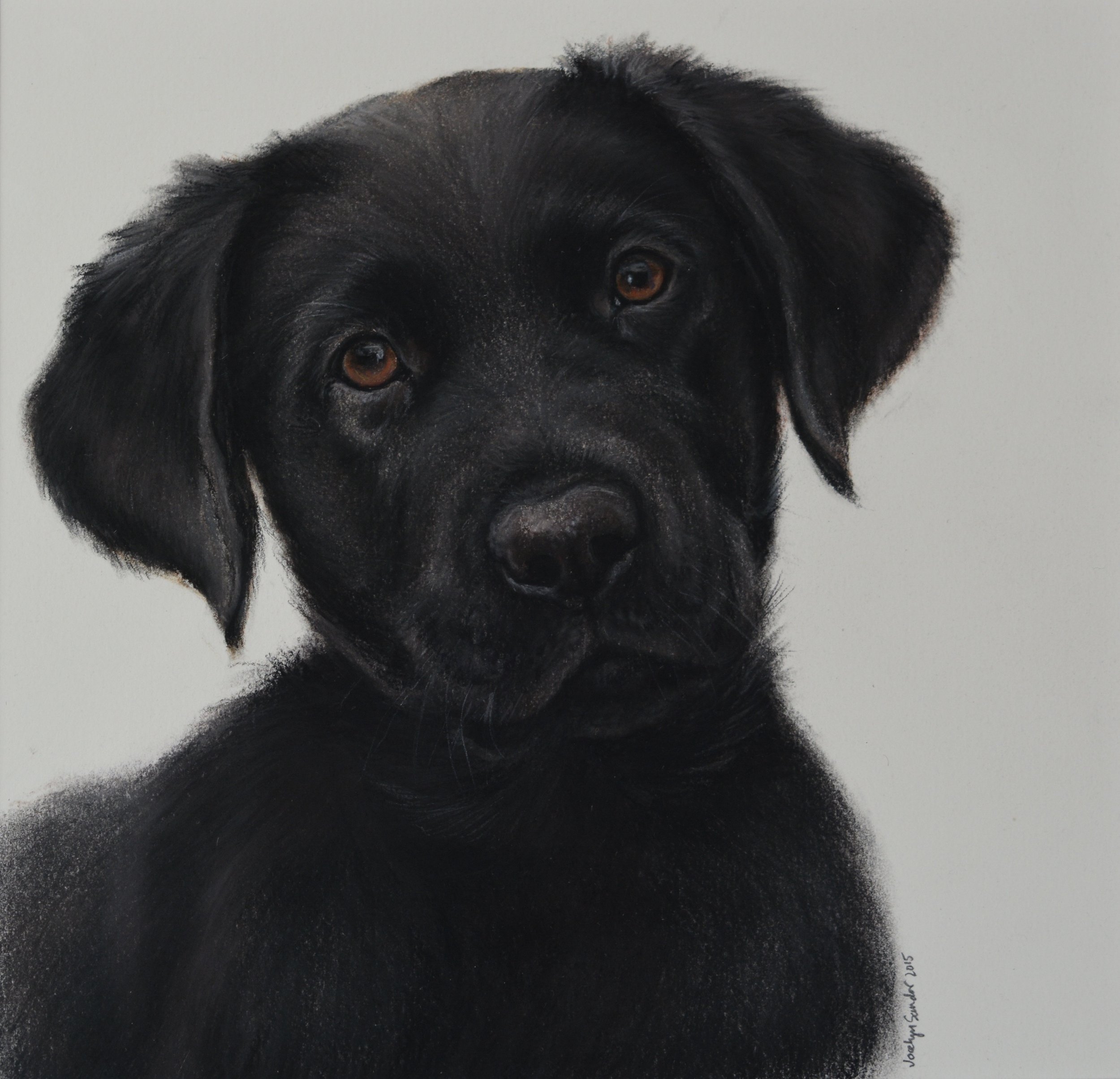 Sammy · conte crayon drawing · 12 × 14 in. Collection of the Artist