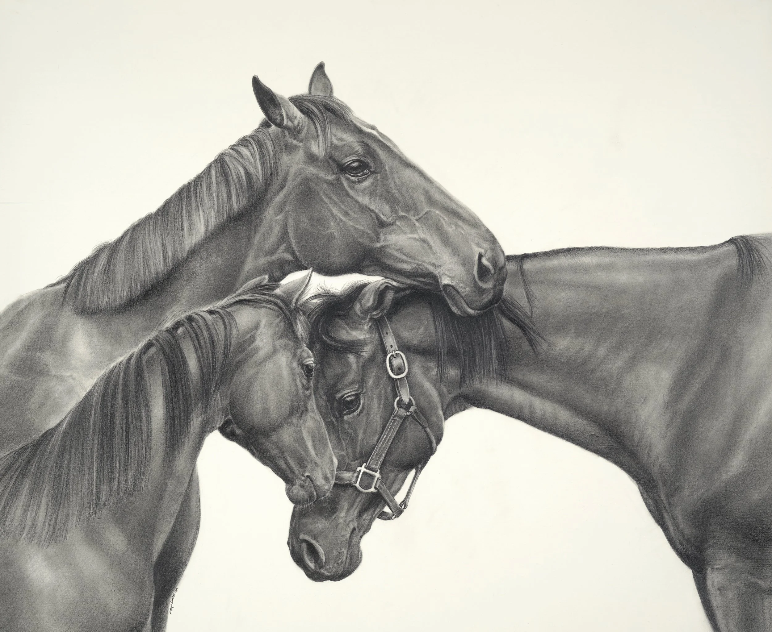 Rescued · graphite drawing · 22 × 30 in. Private Collection