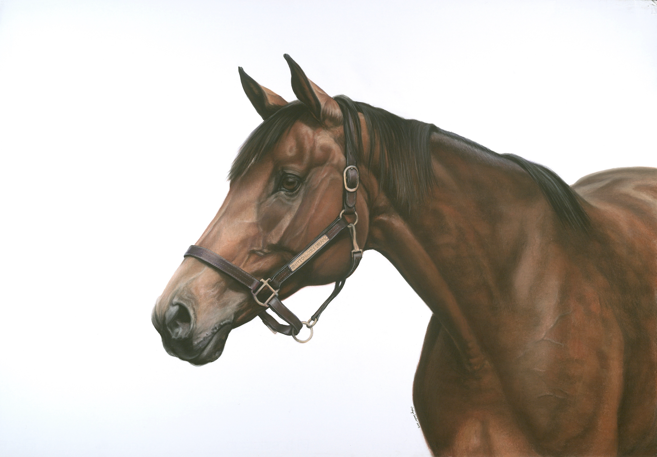 Buttonwood's Dream · conte crayon drawing · 26 × 40 in. Collection of the Artist