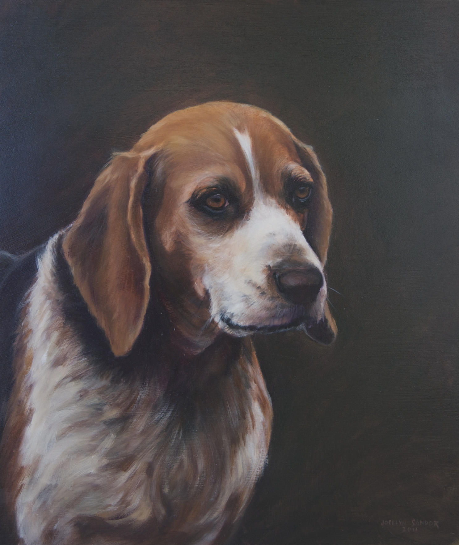 A realistic portrait painting of a beagle with floppy ears, looking thoughtful against a dark background, signed by Jocelyn Sander in 2014.