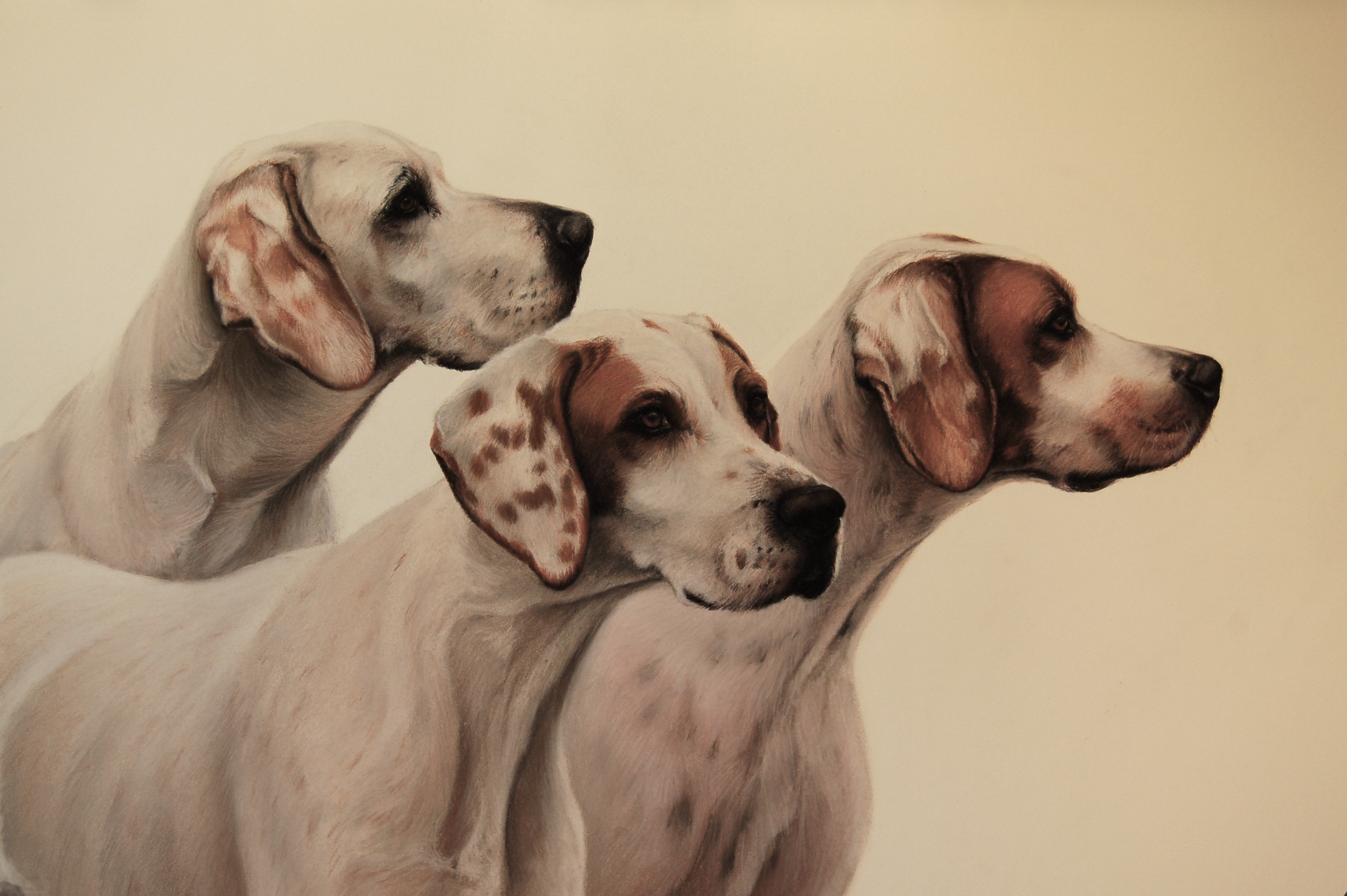 Pointers · conte crayon drawing · 20 × 30 in. Private Collection