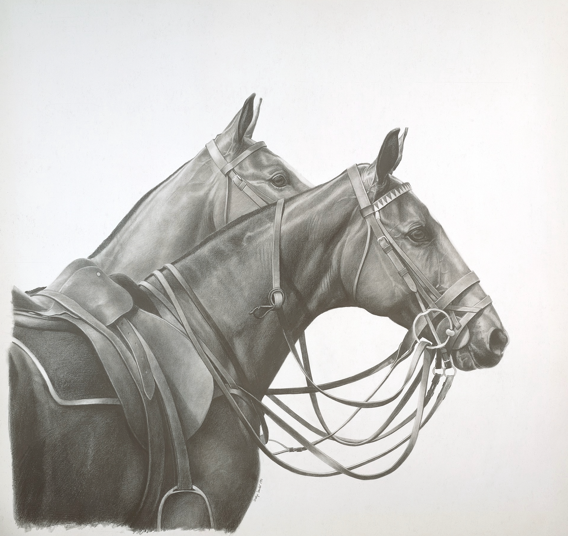 Two Ponies · graphite drawing · 44 × 44 in. Collection of the Artist