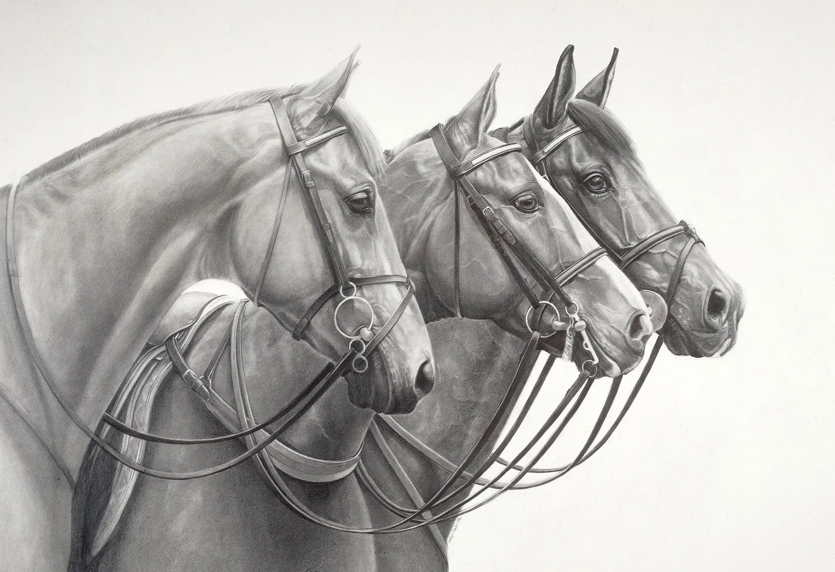 Jumpers · graphite drawing · 26 × 32 in. Collection of the Artist