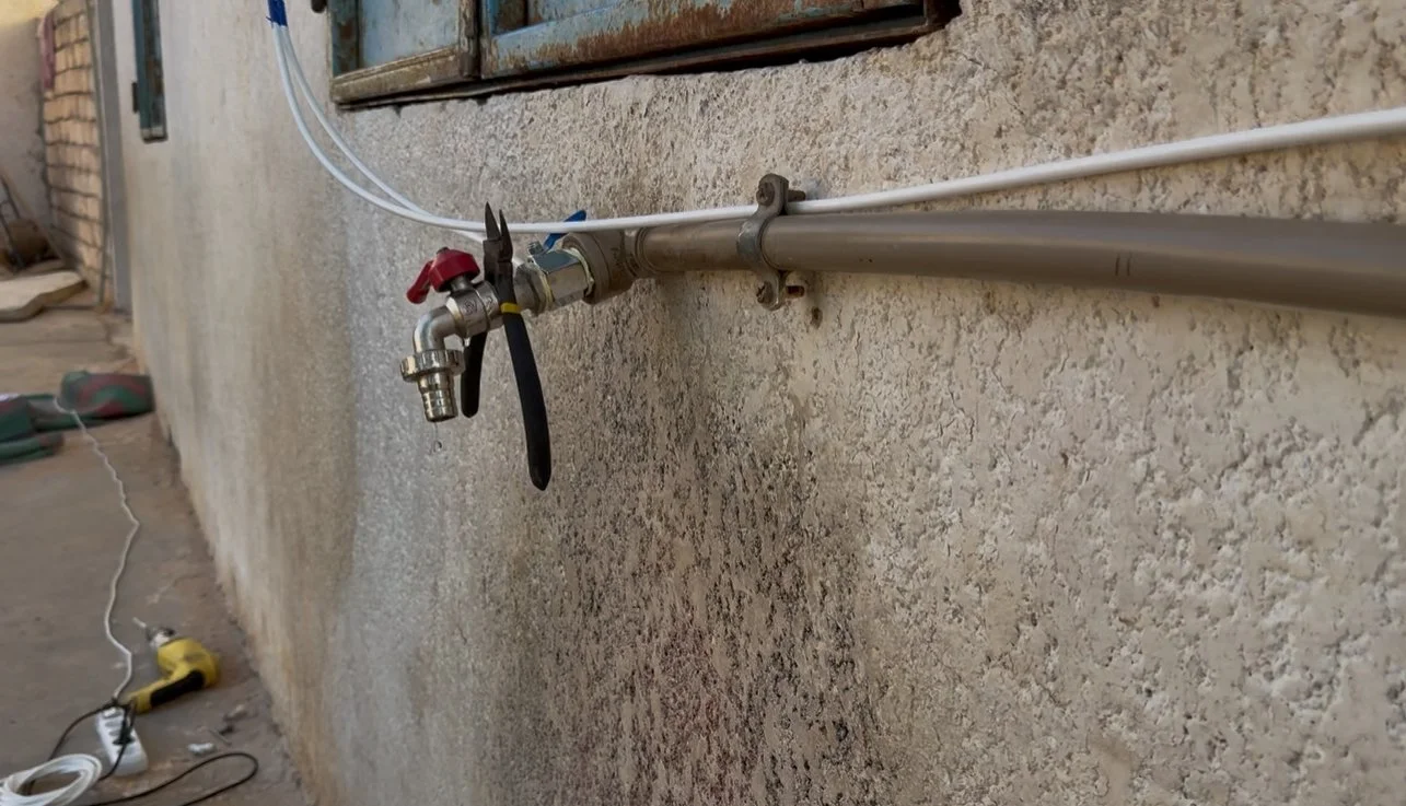 IMG_8345.jpg