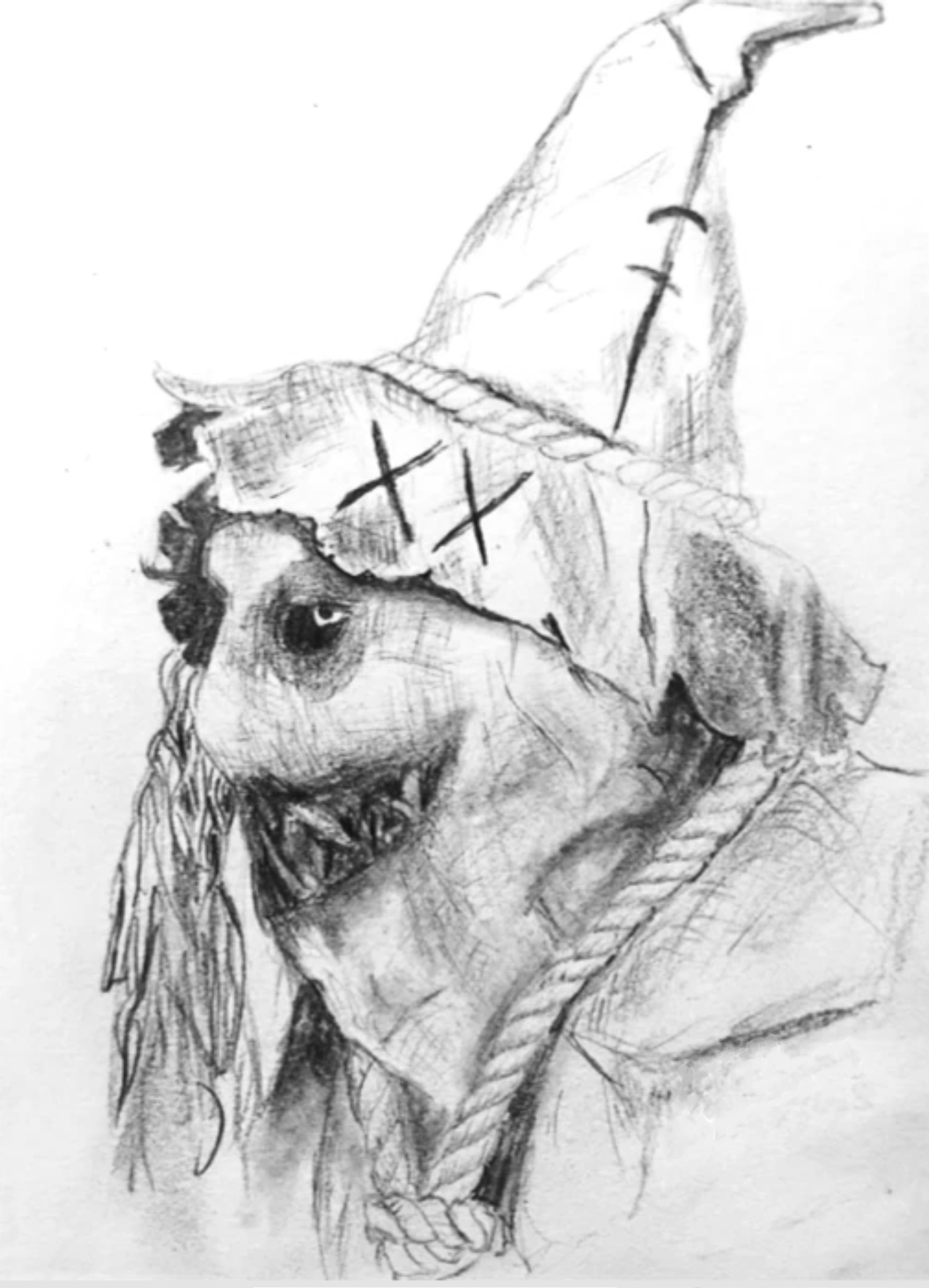 A Nightmare Scarecrow- Pencils on paper