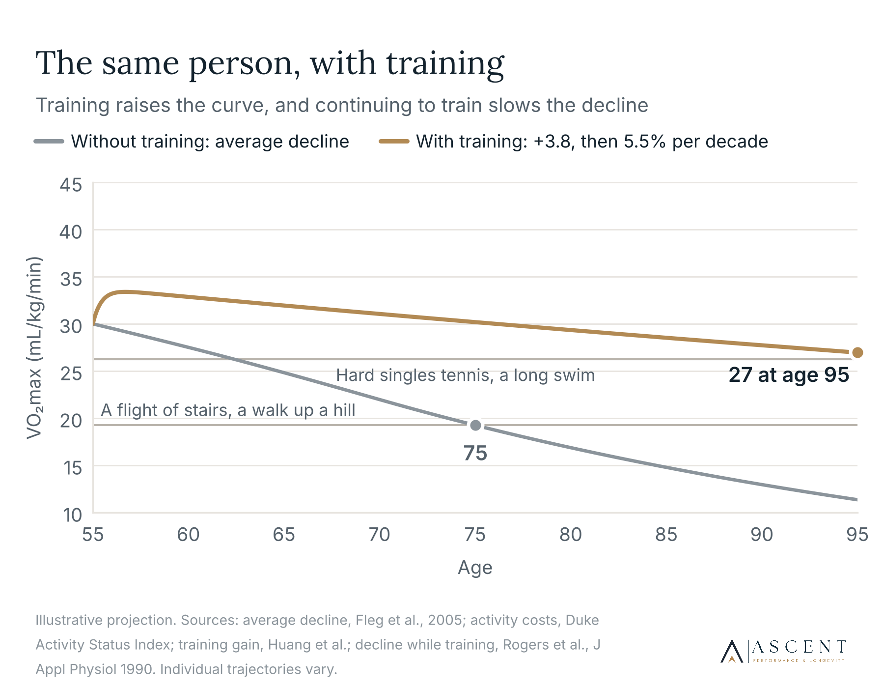 A line graph comparing VO2 max decline with age for trained and untrained individuals. The gray line shows a faster decline without training, while the brown line illustrates a slower decline with training. Annotations indicate the challenges of aging, like stairs or a hill, and the age markers 75 and 95.