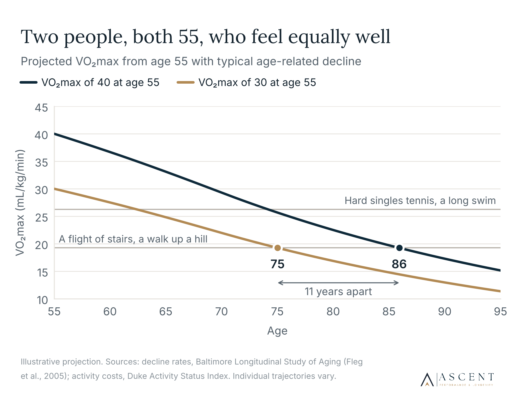 Graph showing projected VO2 max decline from age 55 for two individuals, both age 55, both feeling equally well, with one at 40 VO2 max and the other at 30 VO2 max, over 11 years.