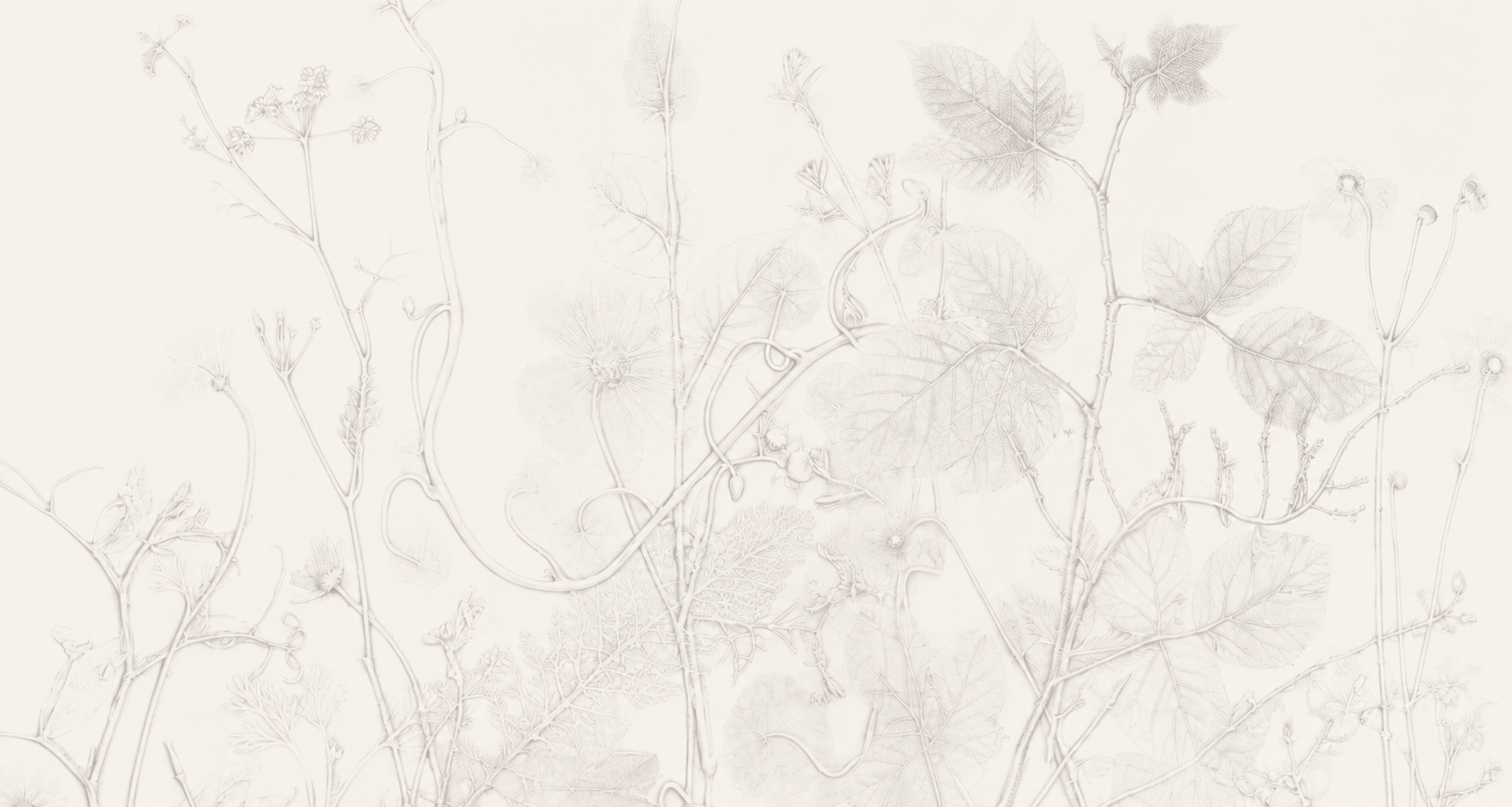Light-colored wall with faint botanical line drawings of leaves, stems, and flowers.