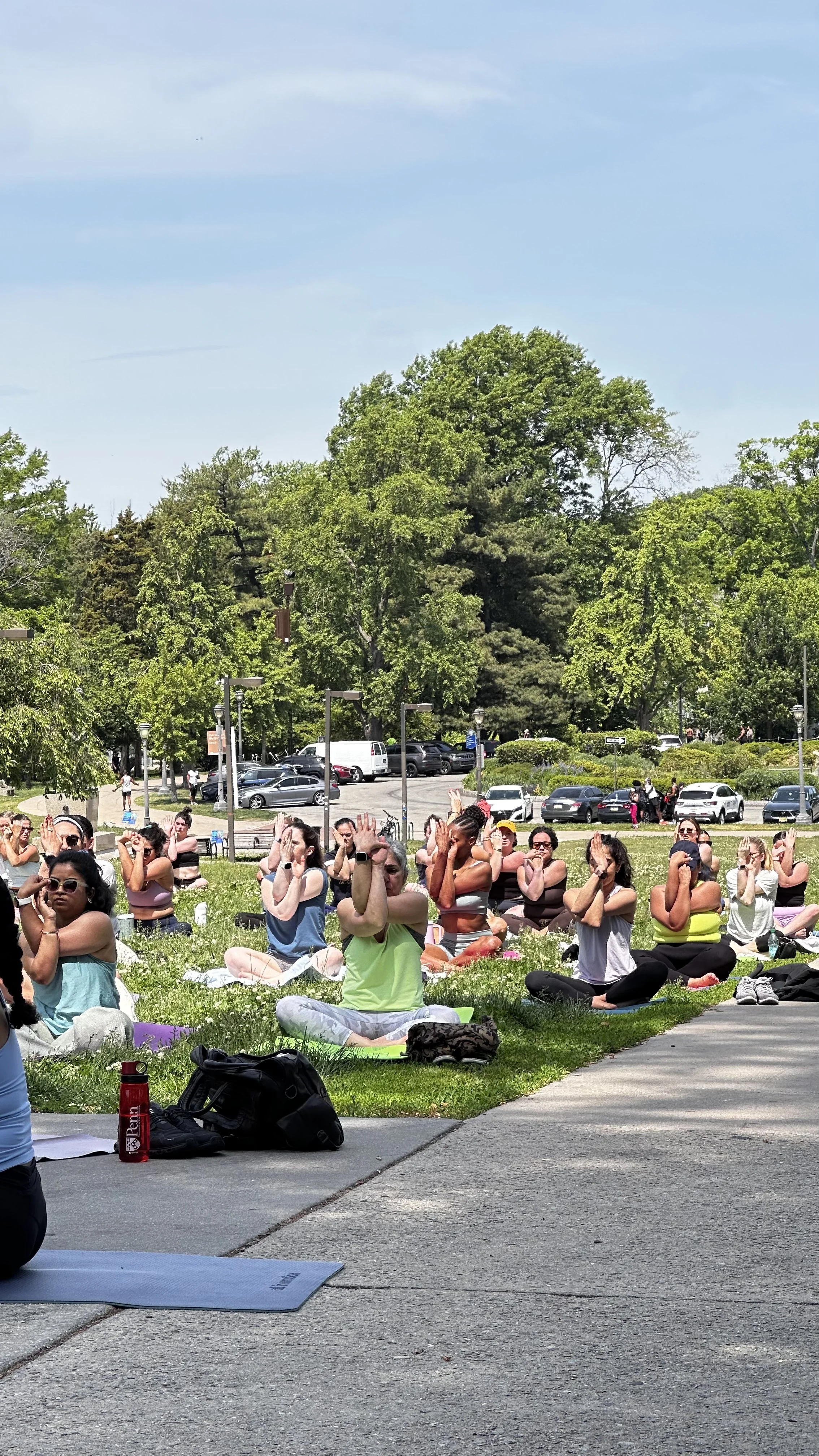 Free Yoga on the Art Museum Lawn