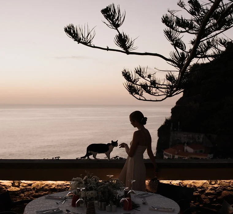 A woman in a dress standing on a balcony at sunset, reaching out to a cat on the ledge, with a table set for dinner in the foreground and a scenic view of the ocean and a coastal hillside in the background.
