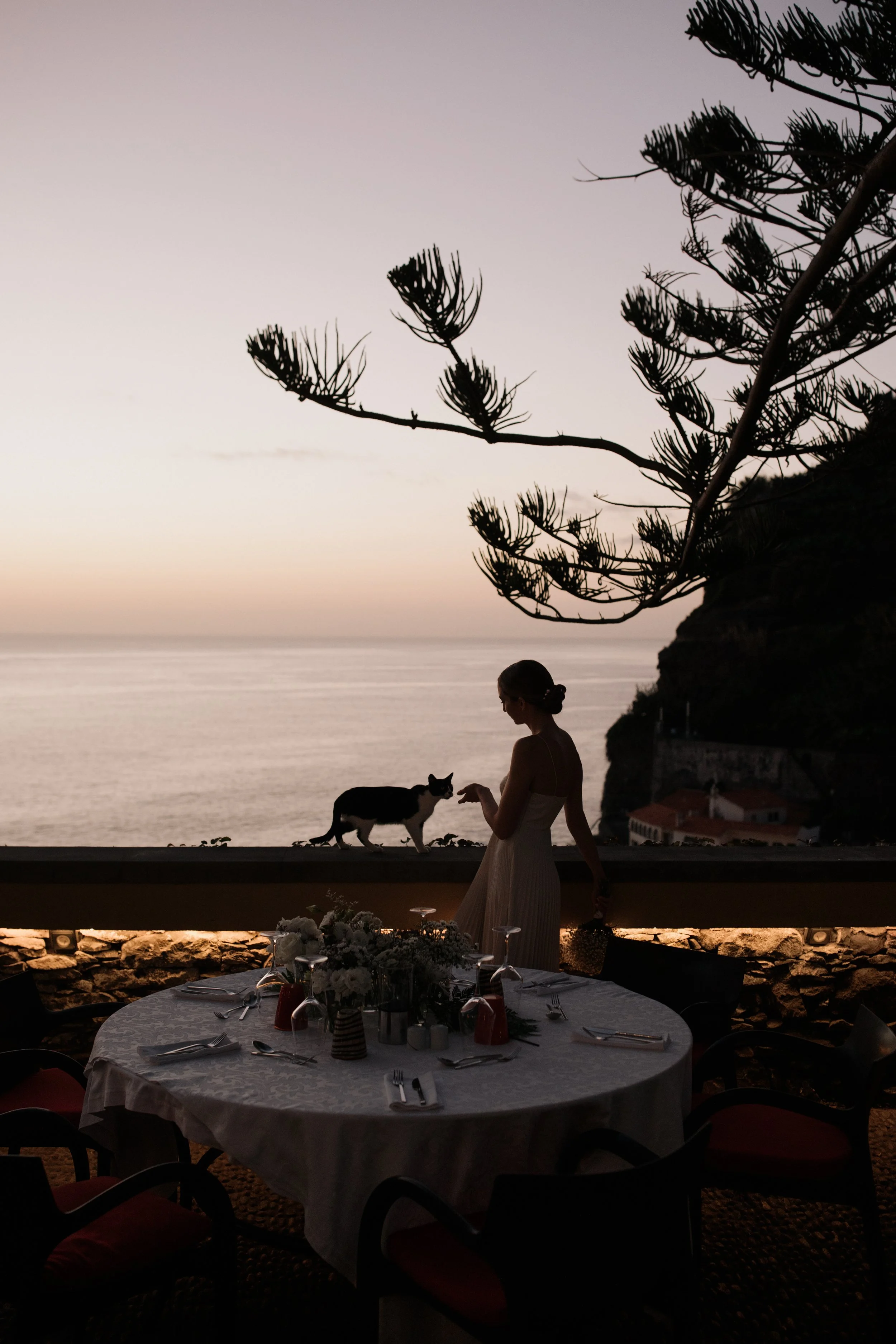 A woman with her hair in a bun standing on a balcony with a cat, overlooking the ocean at sunset, with a large tree in the foreground and a decorated table in the bottom foreground.