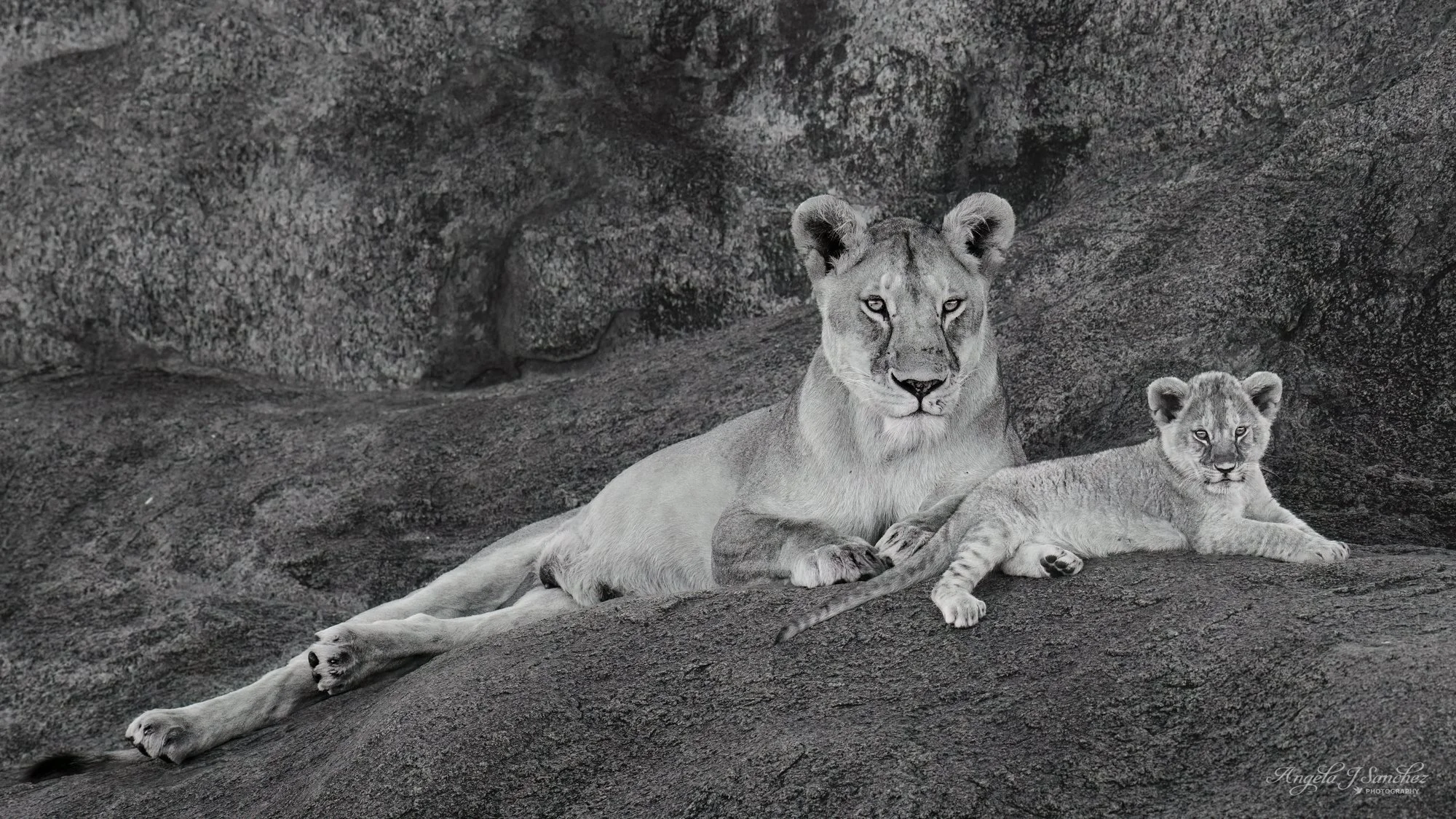ME AND MY MINI-ME – Portrait of a lioness and cub relaxing on top of a kopje in Serengeti National Park, Tanzania.  
