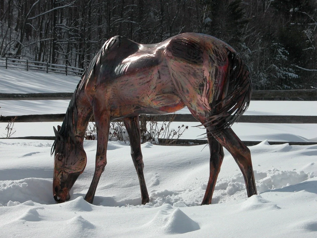 HORSE.