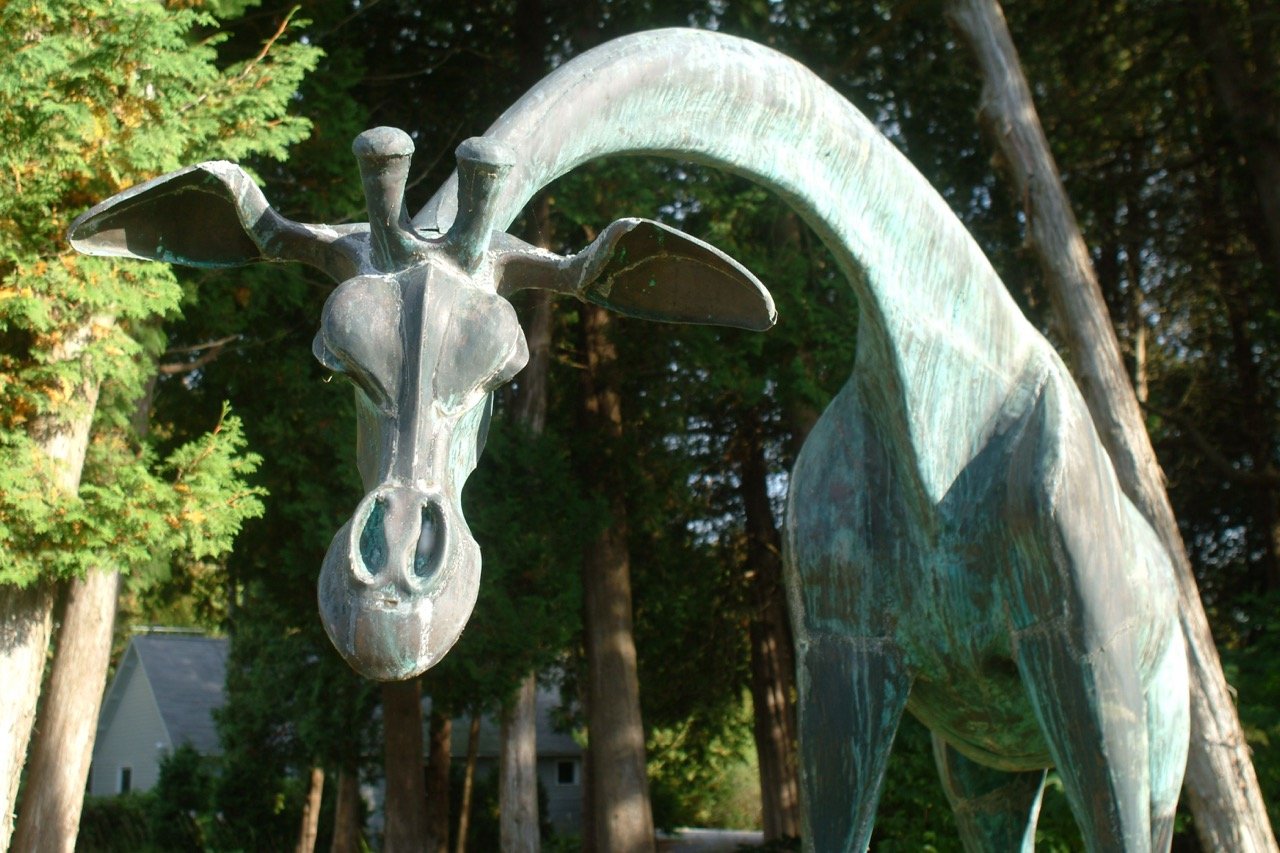Giraffe 2.jpg
