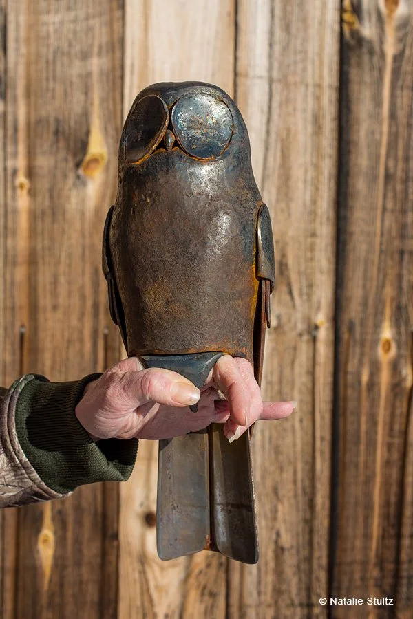 SAUCER OWL.