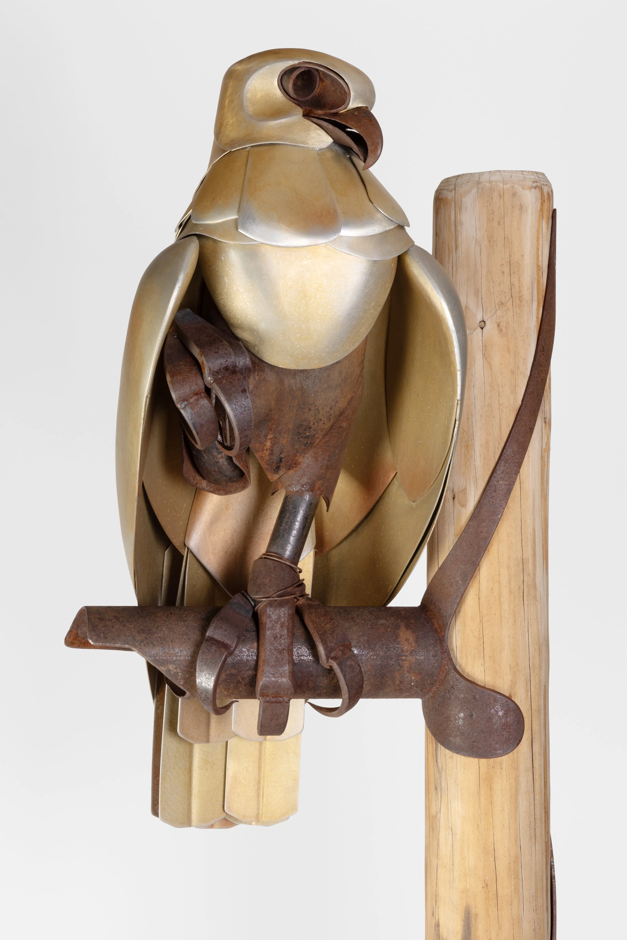DAVID TALON II.