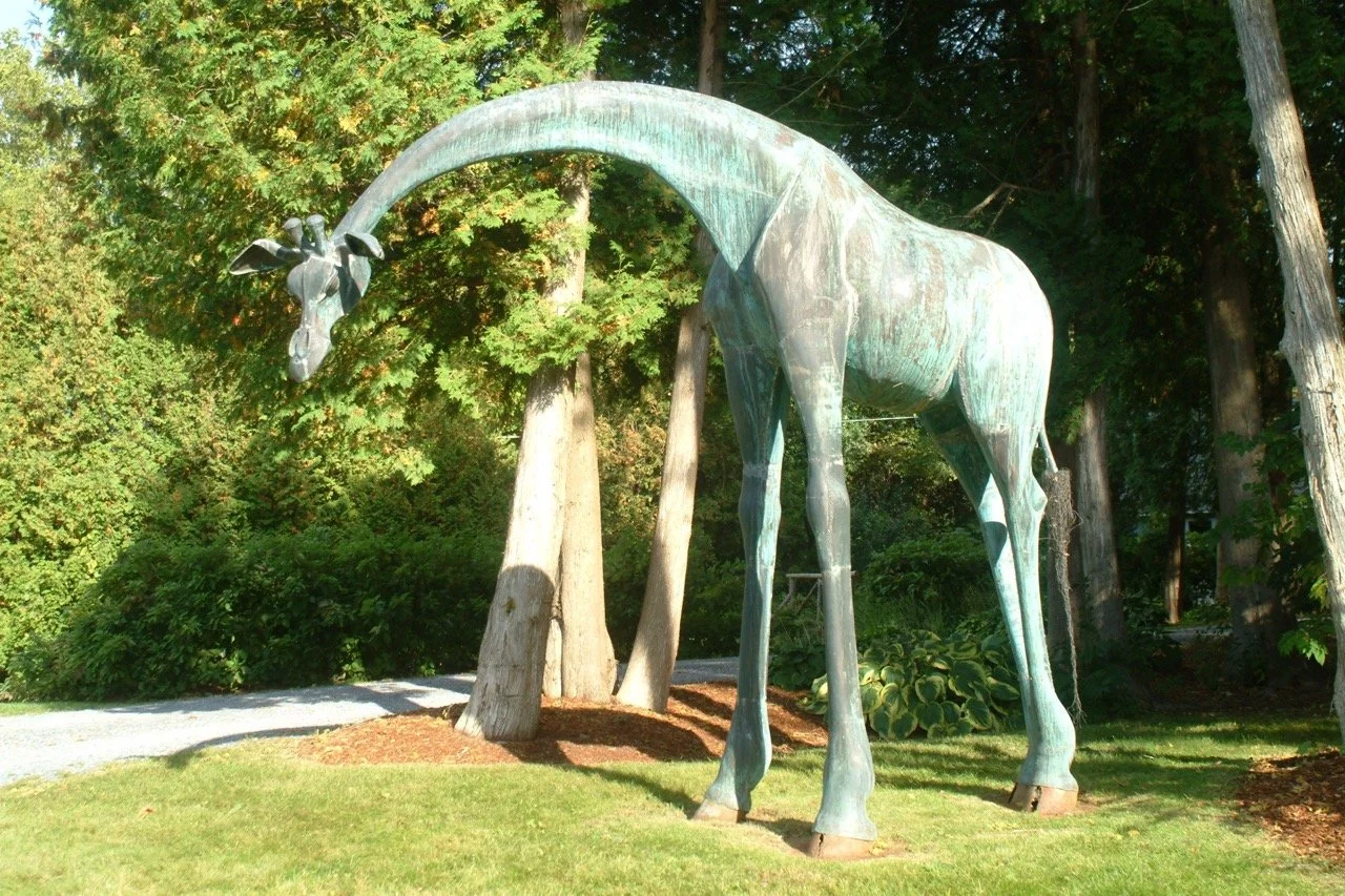 Giraffe 4.jpg