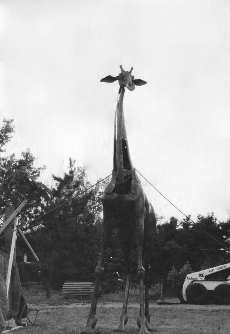 Giraffe 8.jpg