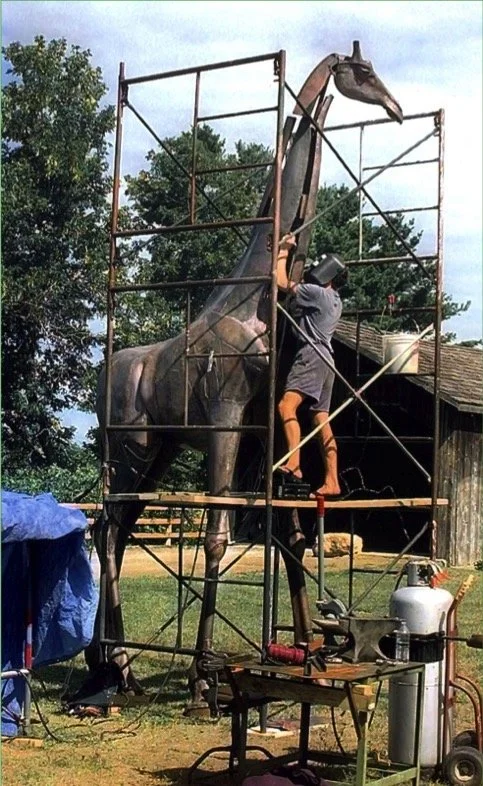 Giraffe 11.jpg