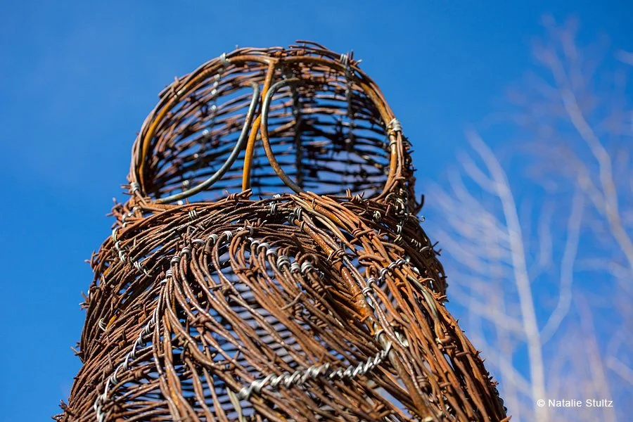 BARBED OWLS.