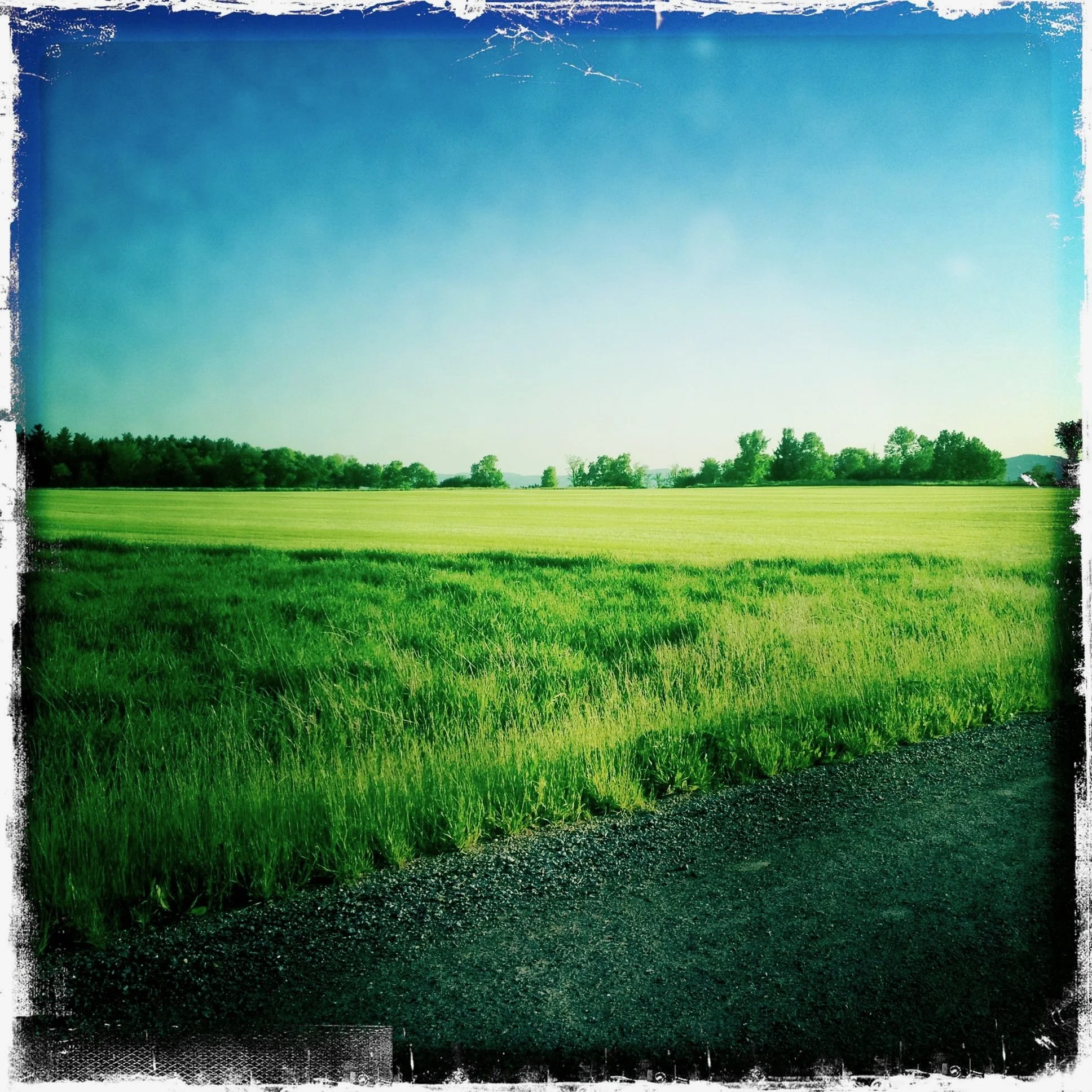 VERMONT.